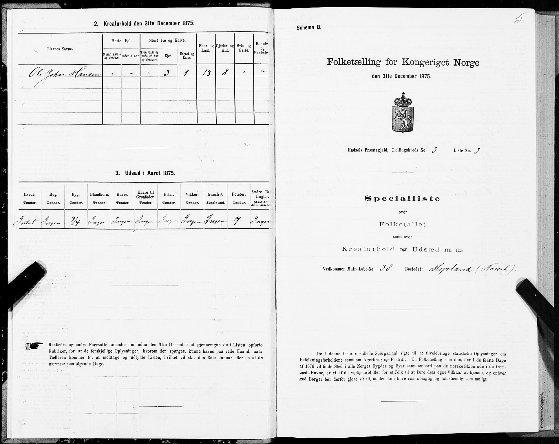 SAT, 1875 census for 1866P Hadsel, 1875, p. 2005