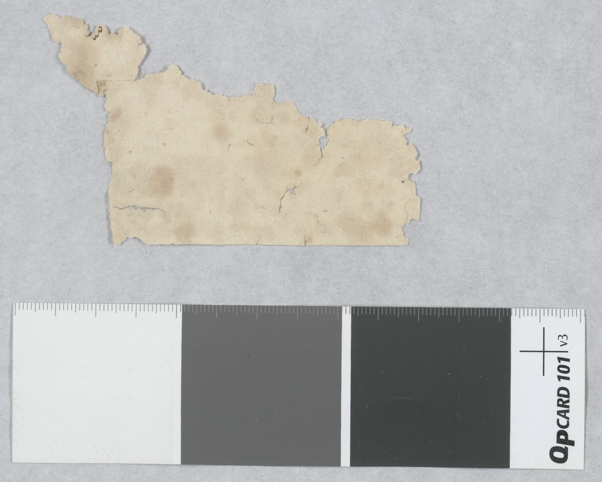 Riksarkivets diplomsamling, AV/RA-EA-5965/F13/F13c/L0001a/0001: NRA dipl. München papir, nr. 4292 Aslak Bolts jordebok. / 4294: Aslak Bolts jordebok, 1430-1439