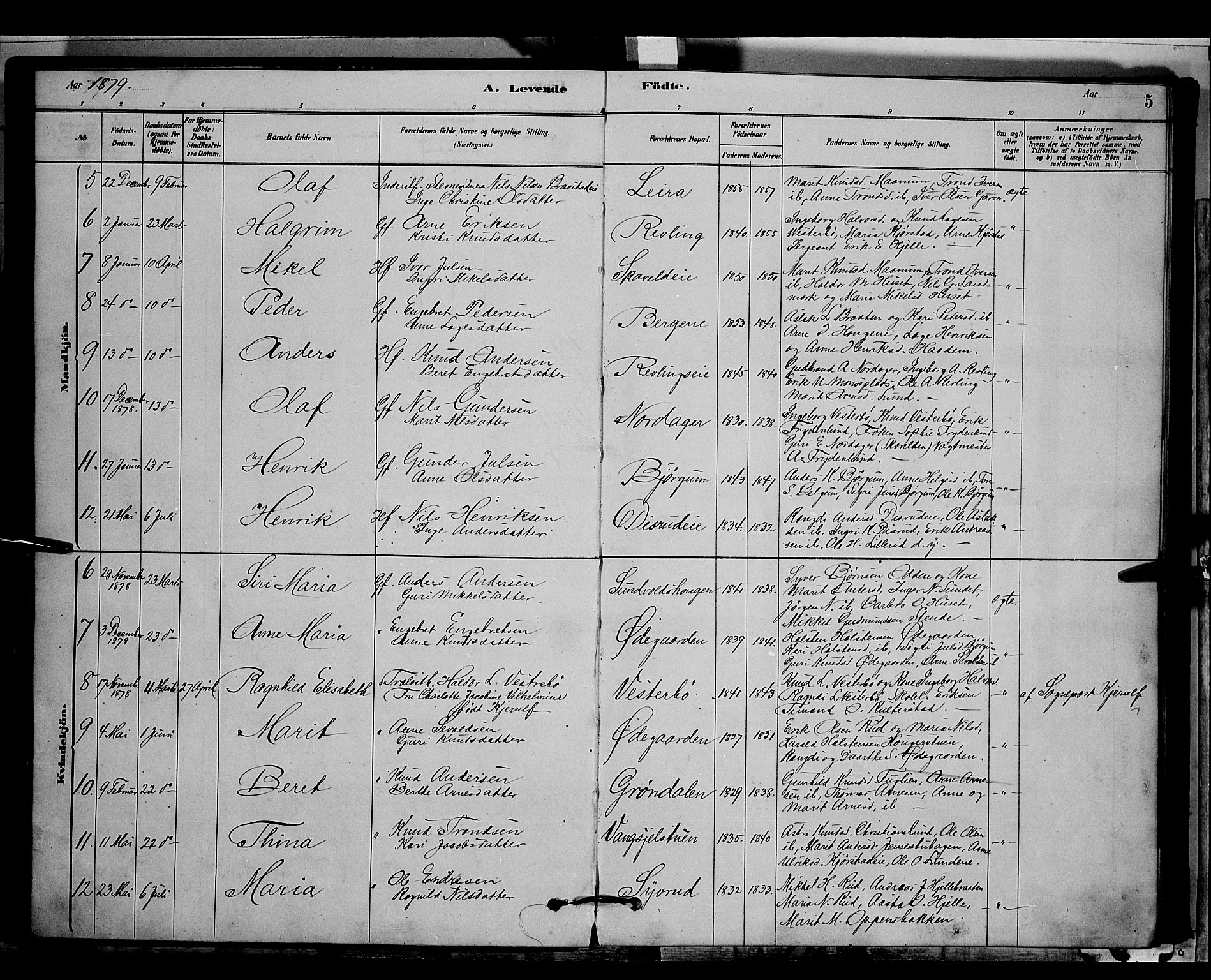 Nord-Aurdal prestekontor, SAH/PREST-132/H/Ha/Hab/L0006: Parish register (copy) no. 6, 1878-1892, p. 5