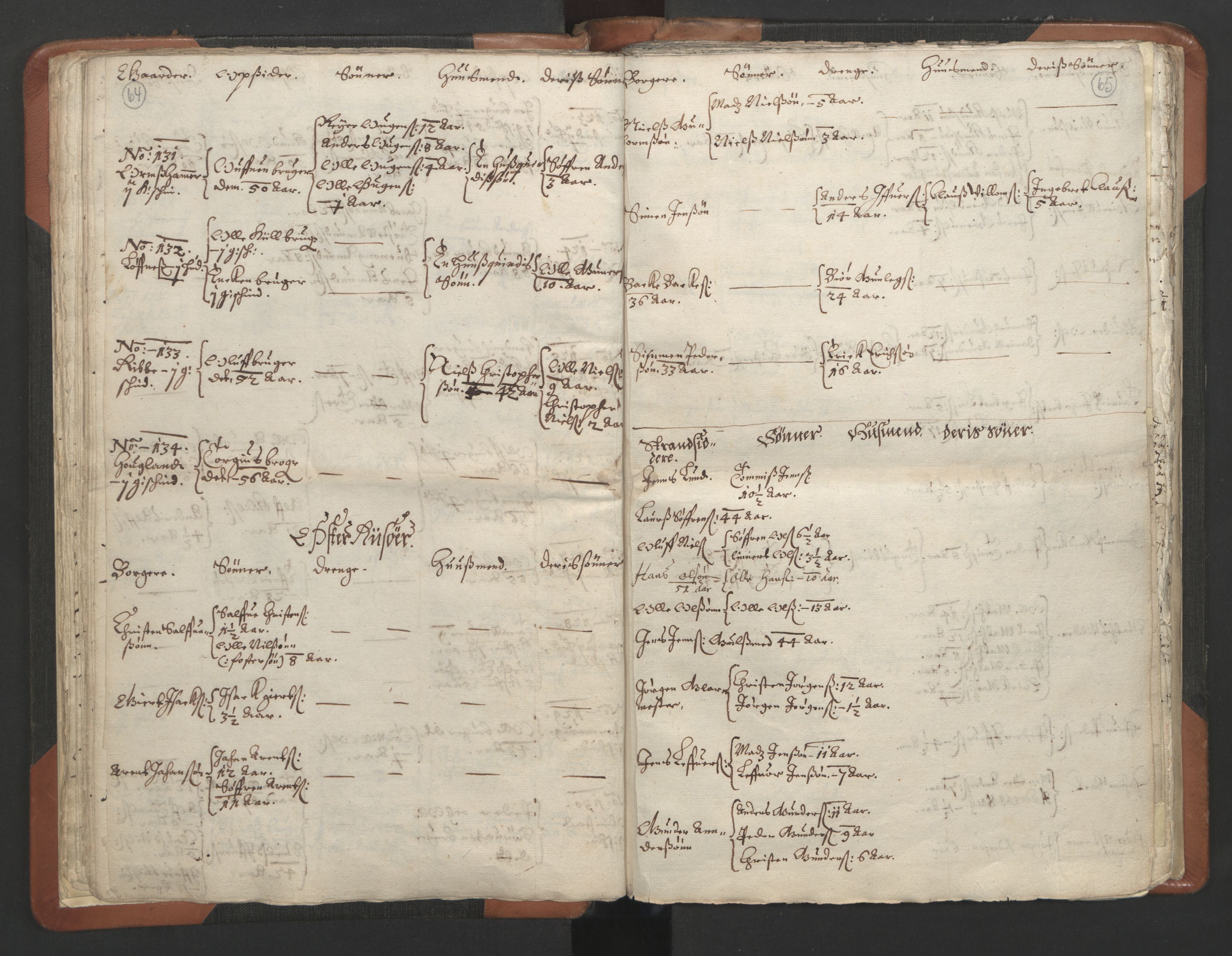 RA, Vicar's Census 1664-1666, no. 13: Nedenes deanery, 1664-1666, p. 64-65