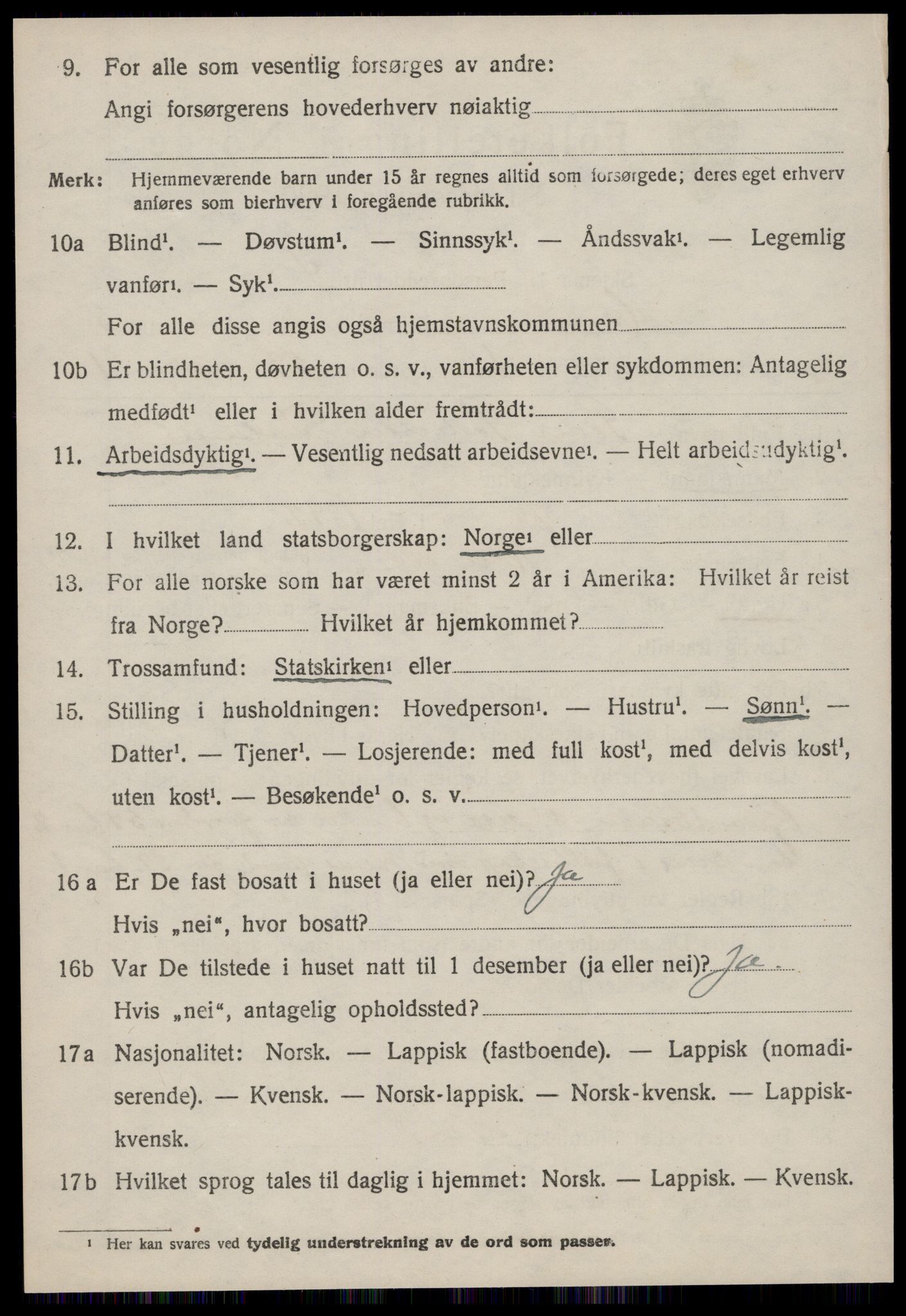 SAT, 1920 census for Hemne, 1920, p. 3105