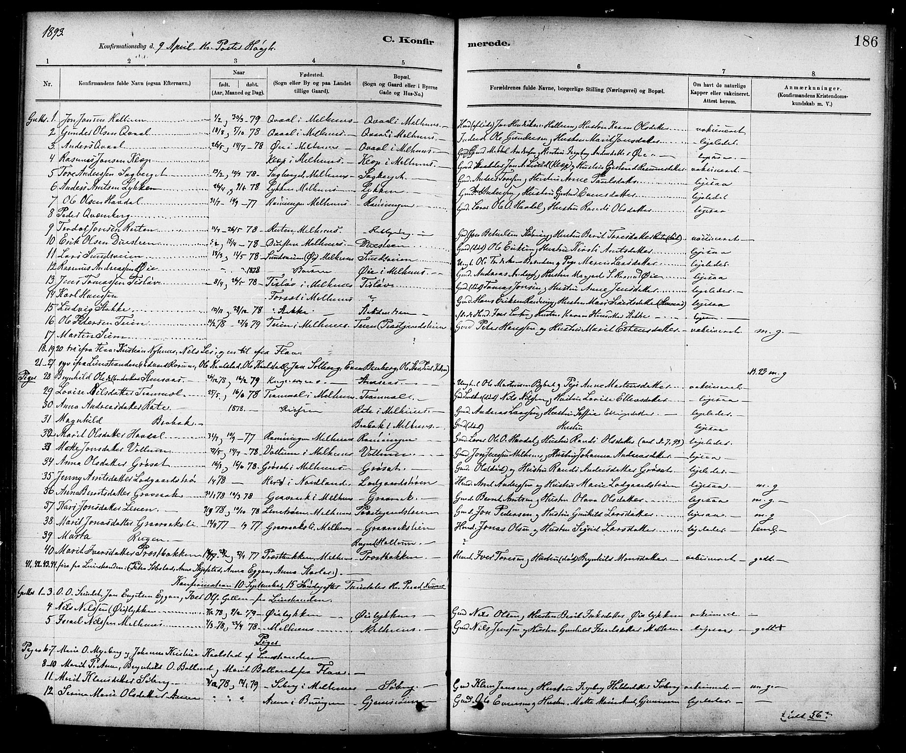 Ministerialprotokoller, klokkerbøker og fødselsregistre - Sør-Trøndelag, SAT/A-1456/691/L1094: Parish register (copy) no. 691C05, 1879-1911, p. 186