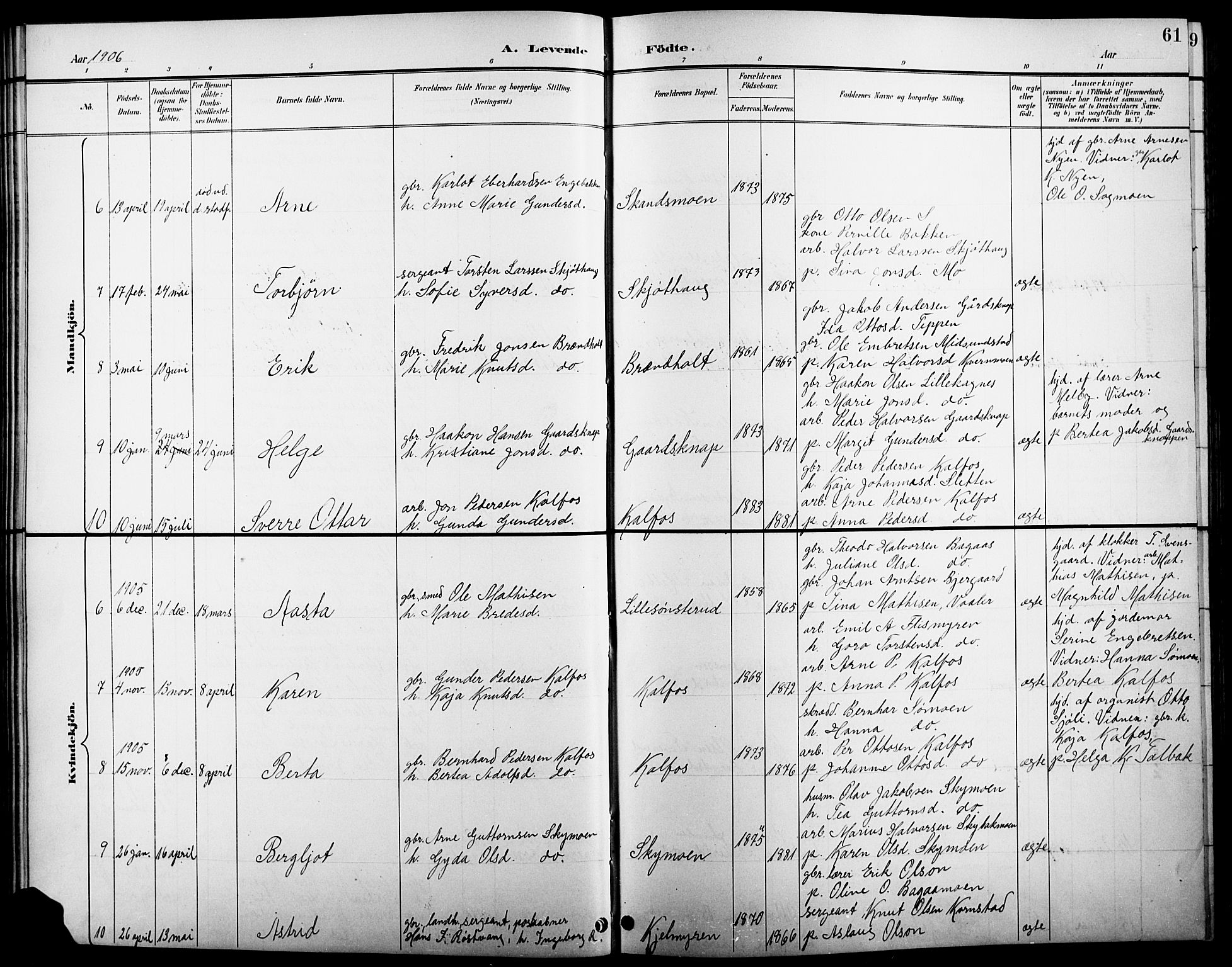 Åsnes prestekontor, AV/SAH-PREST-042/H/Ha/Hab/L0005: Parish register (copy) no. 5, 1895-1920, p. 61