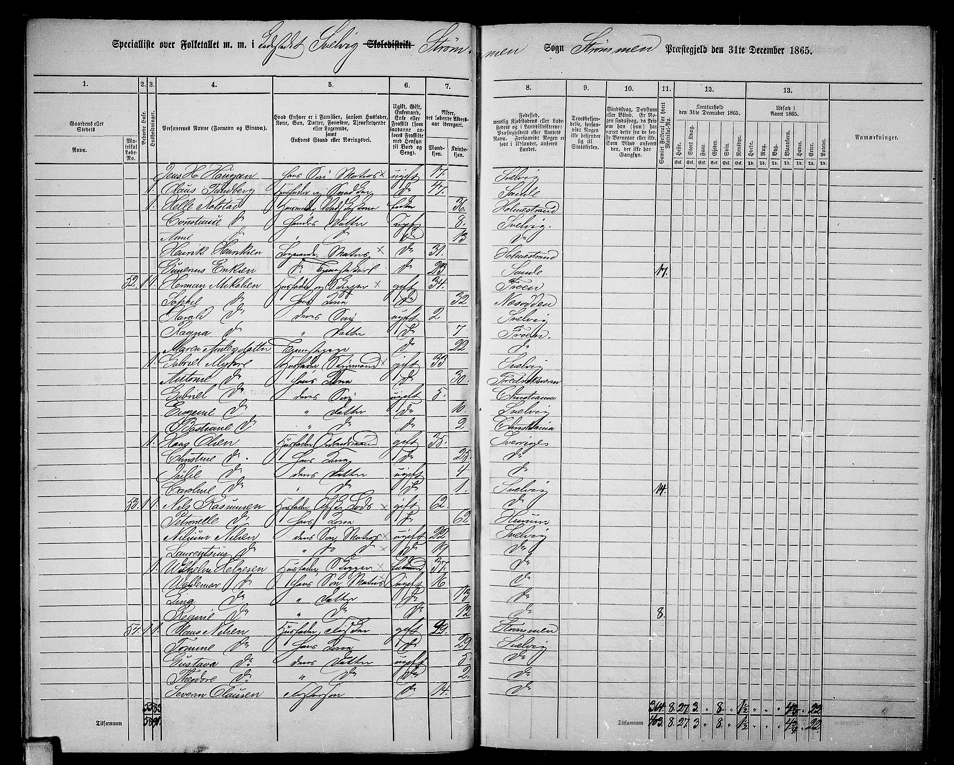 RA, 1865 census for Strømm, 1865, p. 75