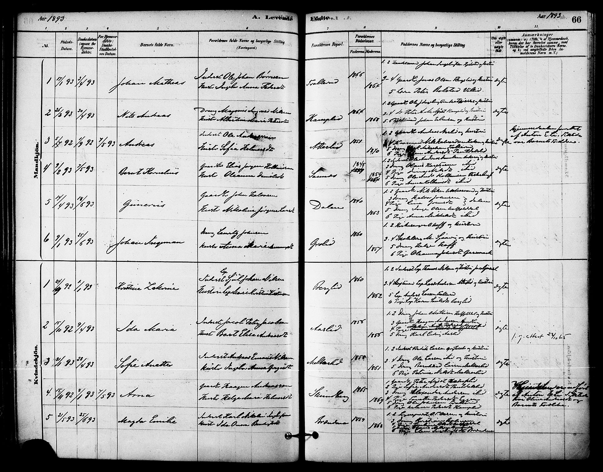 Ministerialprotokoller, klokkerbøker og fødselsregistre - Nordland, AV/SAT-A-1459/823/L0325: Parish register (official) no. 823A02, 1878-1898, p. 66