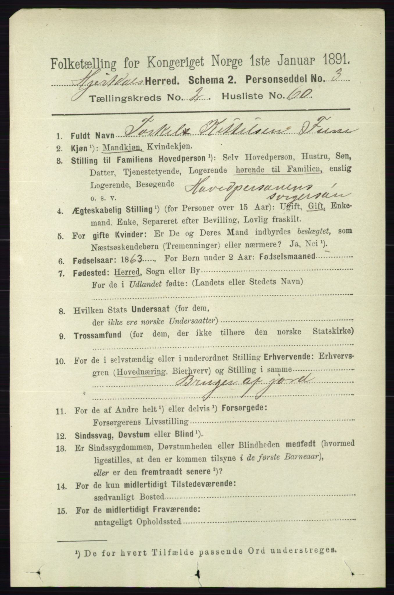 RA, 1891 census for 0827 Hjartdal, 1891, p. 970