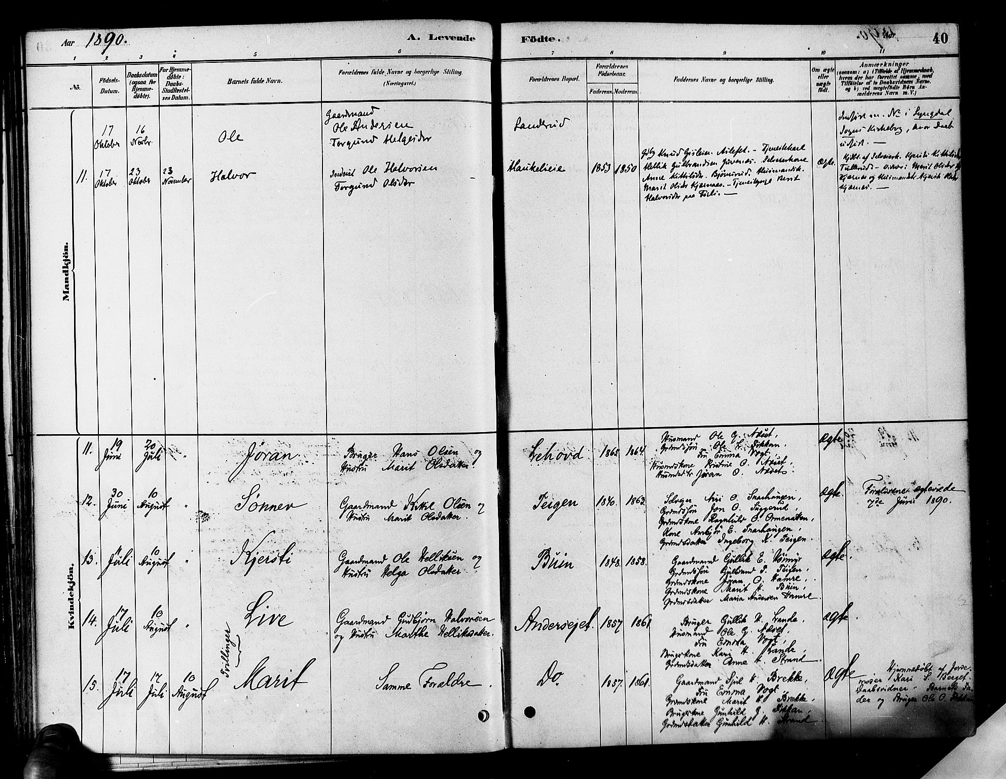 Flesberg kirkebøker, SAKO/A-18/F/Fa/L0008: Parish register (official) no. I 8, 1879-1899, p. 40
