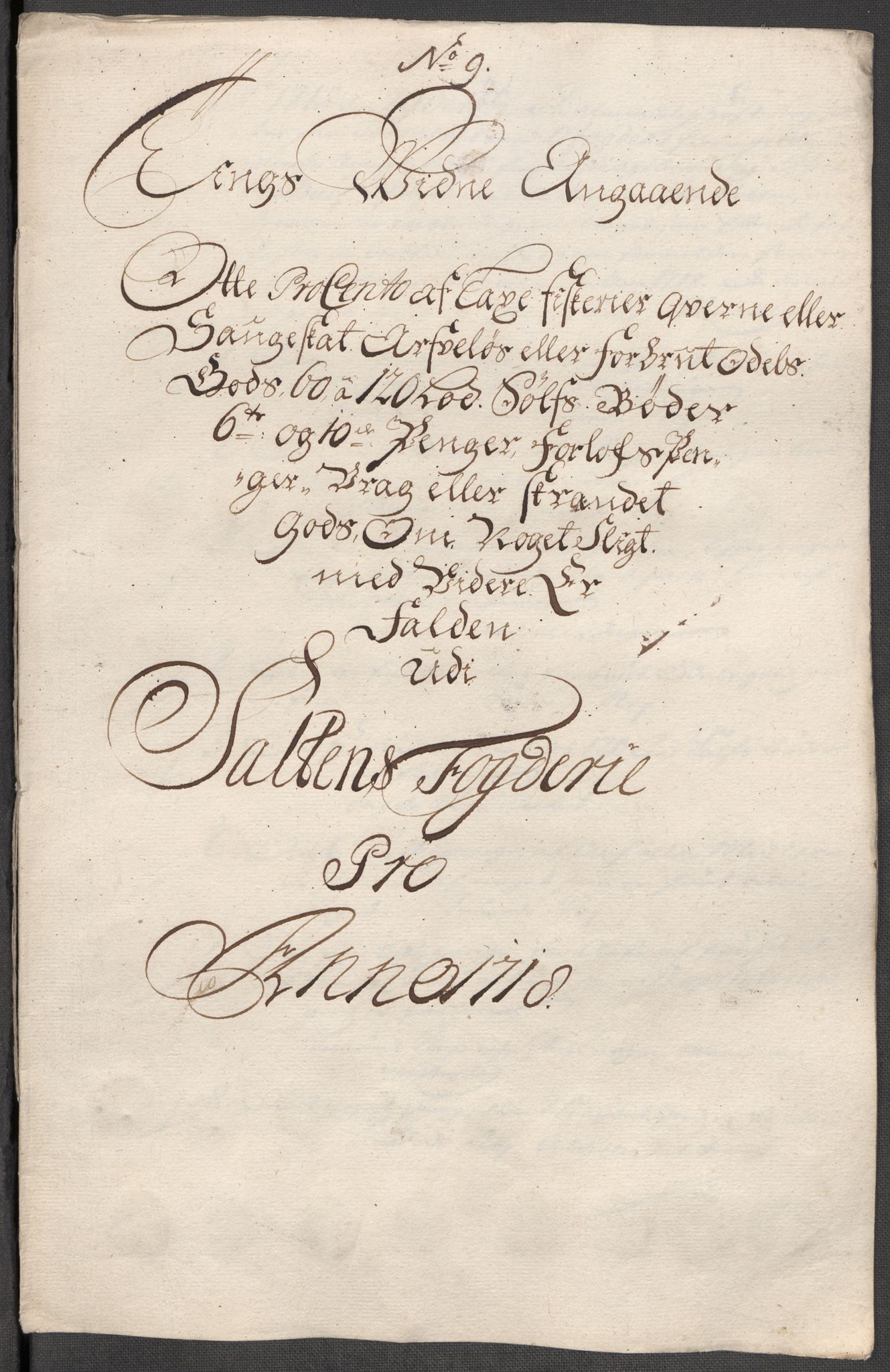 Rentekammeret inntil 1814, Reviderte regnskaper, Fogderegnskap, AV/RA-EA-4092/R66/L4588: Fogderegnskap Salten, 1718, p. 171