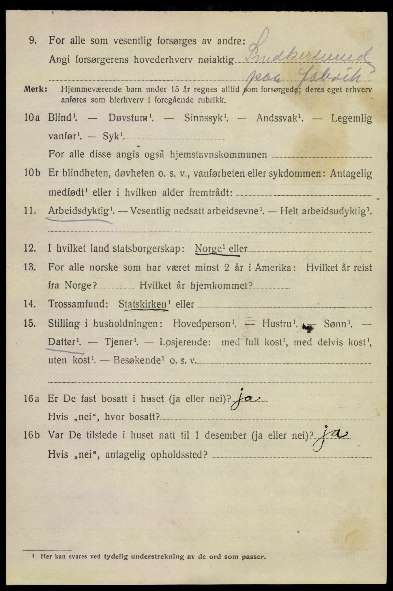 SAKO, 1920 census for Kragerø, 1920, p. 12006