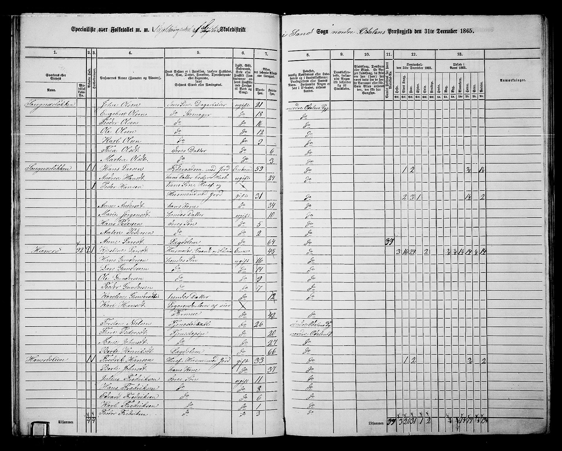 RA, 1865 census for Nord-Odal, 1865, p. 19