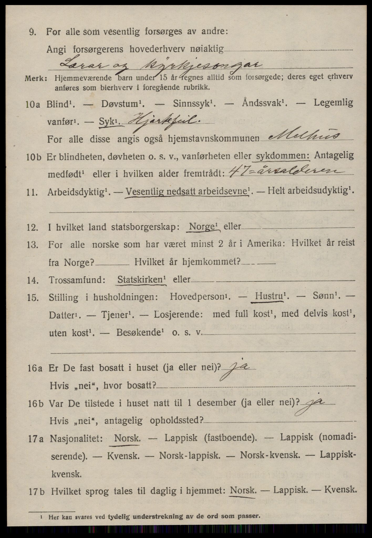 SAT, 1920 census for Melhus, 1920, p. 1536