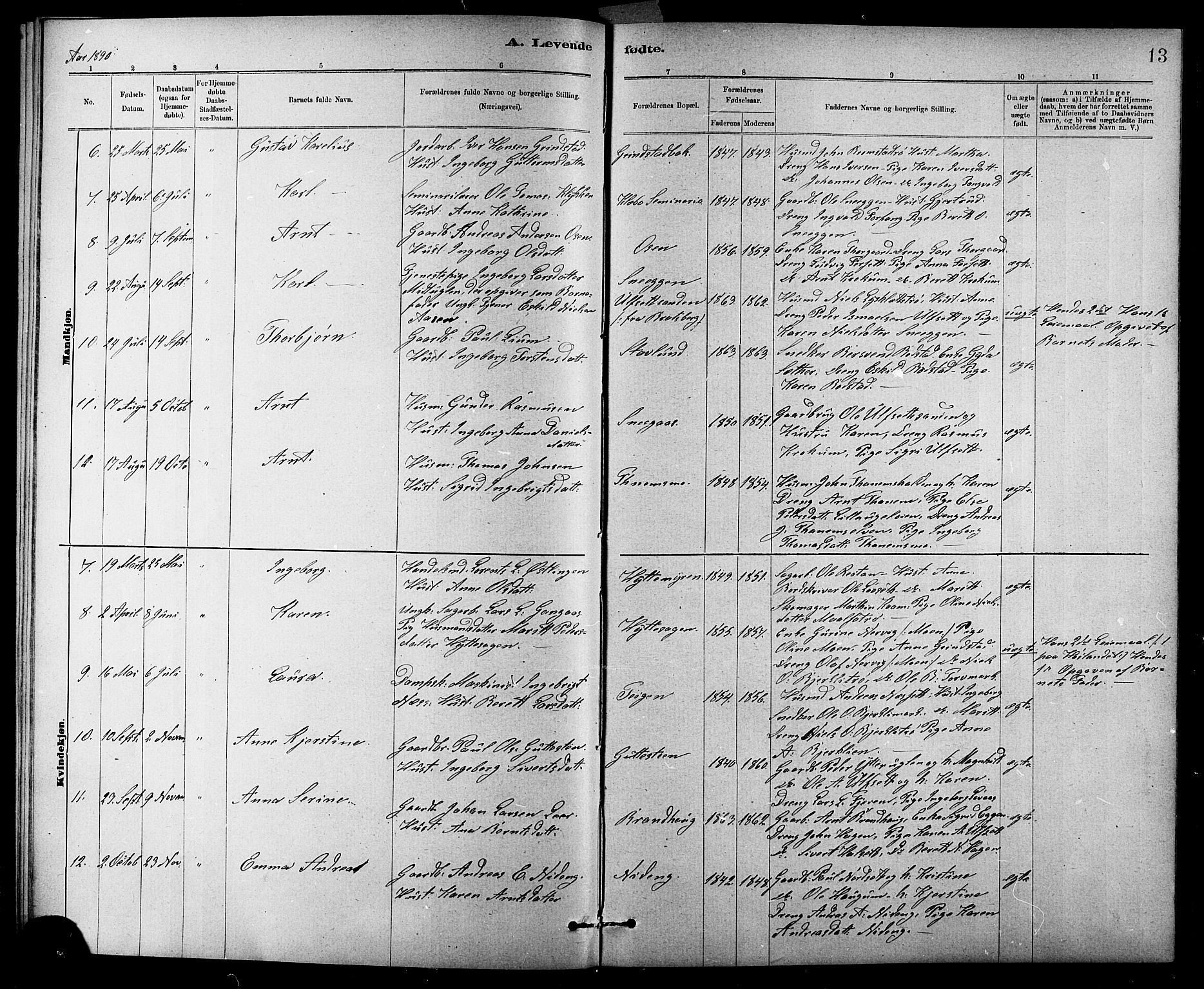 Ministerialprotokoller, klokkerbøker og fødselsregistre - Sør-Trøndelag, SAT/A-1456/618/L0452: Parish register (copy) no. 618C03, 1884-1906, p. 13
