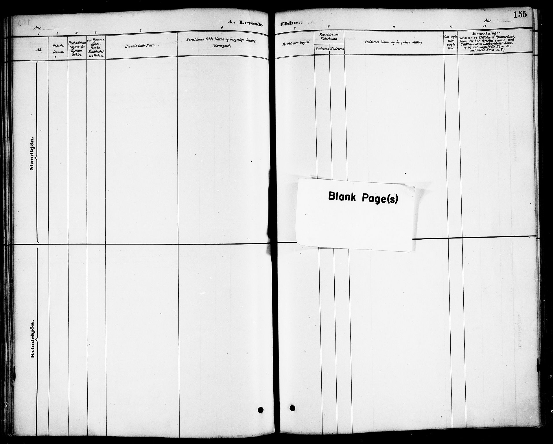 Ministerialprotokoller, klokkerbøker og fødselsregistre - Nordland, AV/SAT-A-1459/817/L0268: Parish register (copy) no. 817C03, 1884-1920, p. 155