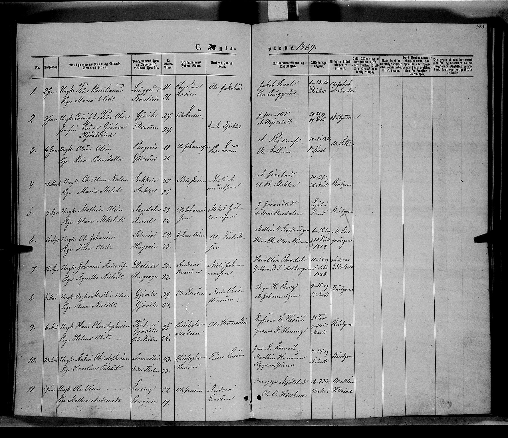 Vardal prestekontor, AV/SAH-PREST-100/H/Ha/Hab/L0006: Parish register (copy) no. 6, 1869-1881, p. 243