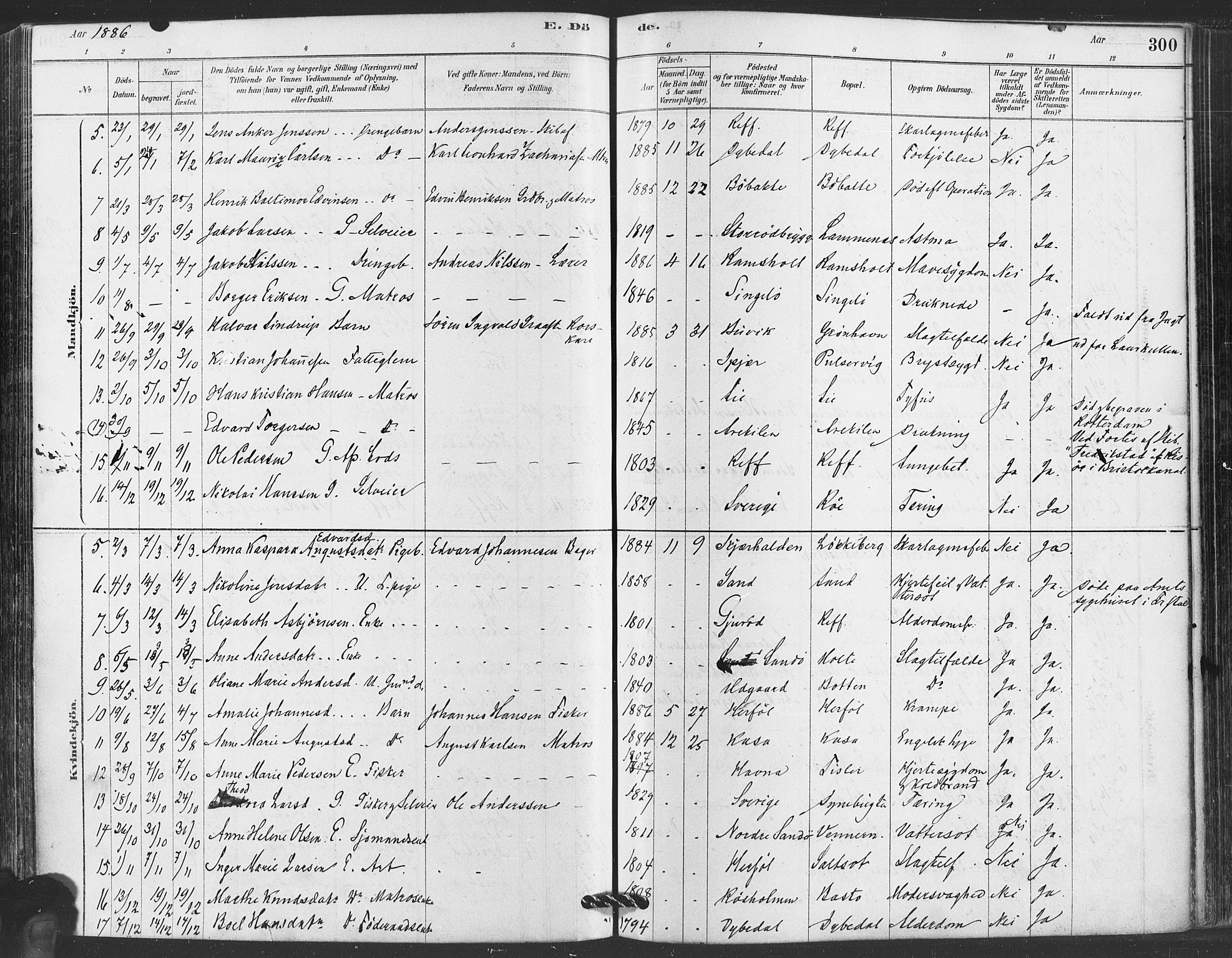 Hvaler prestekontor Kirkebøker, SAO/A-2001/F/Fa/L0008: Parish register (official) no. I 8, 1878-1895, p. 300
