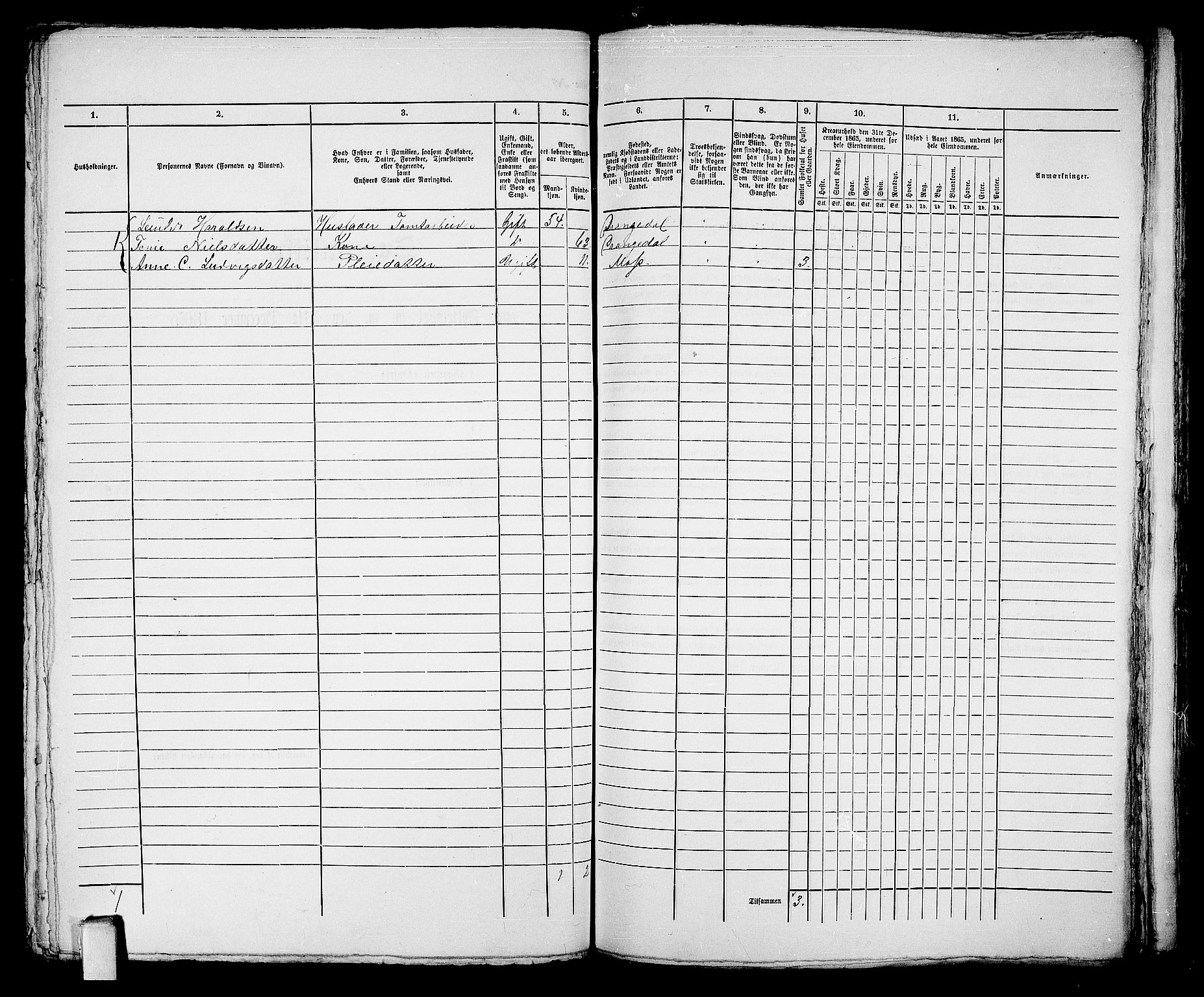 RA, 1865 census for Kragerø/Kragerø, 1865, p. 409