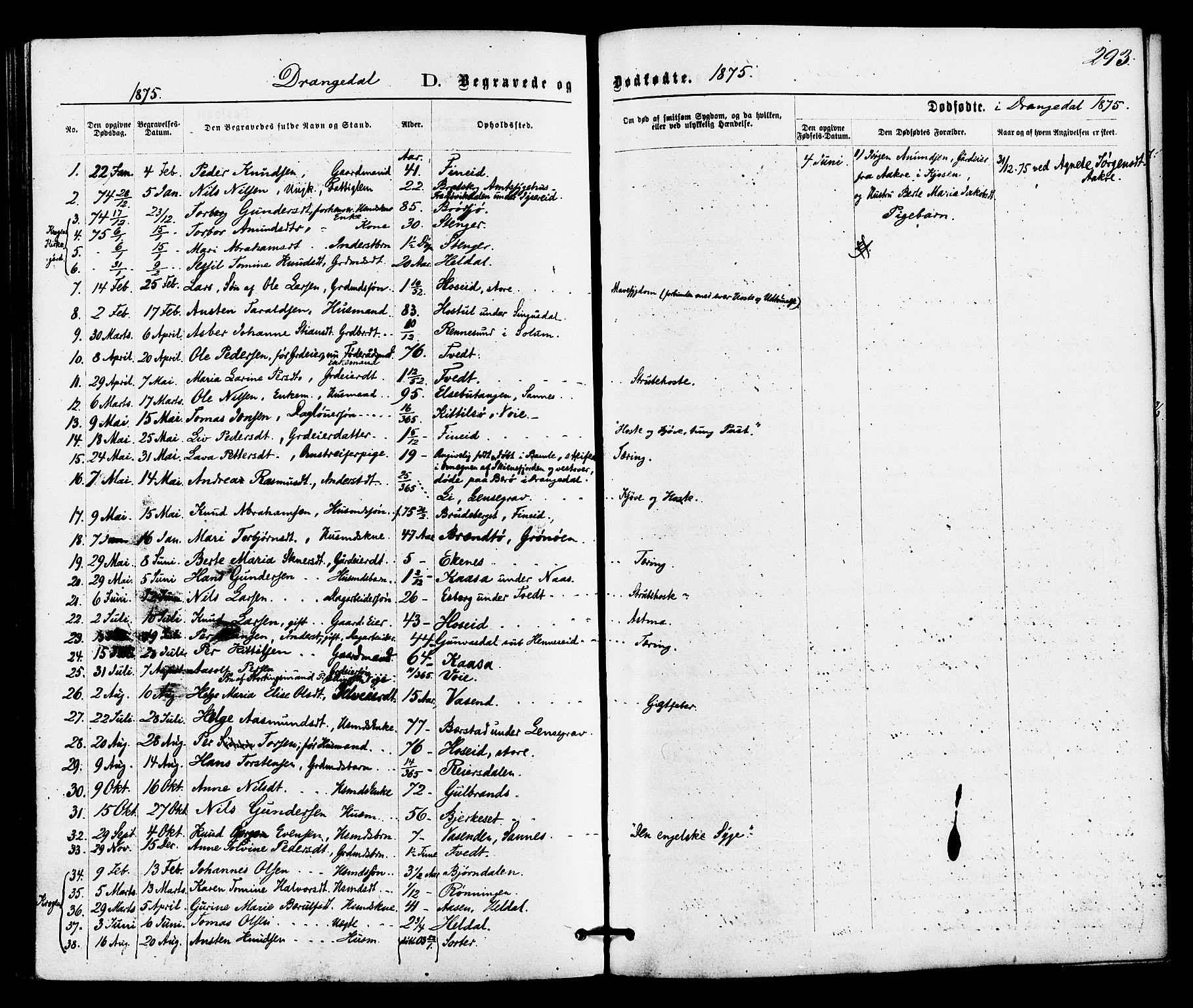 Drangedal kirkebøker, SAKO/A-258/F/Fa/L0009: Parish register (official) no. 9 /1, 1872-1884, p. 293