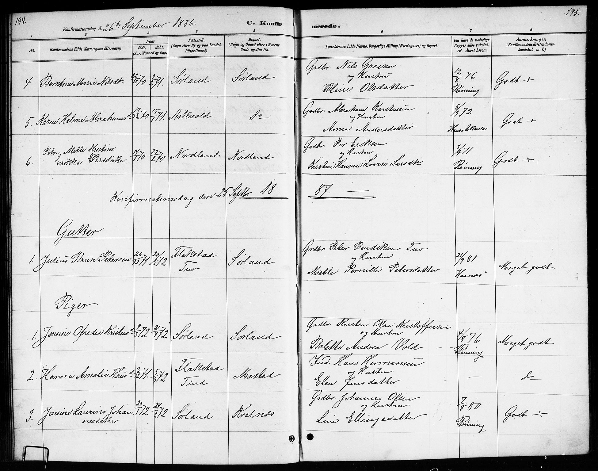 Ministerialprotokoller, klokkerbøker og fødselsregistre - Nordland, AV/SAT-A-1459/807/L0123: Parish register (copy) no. 807C01, 1884-1910, p. 194-195