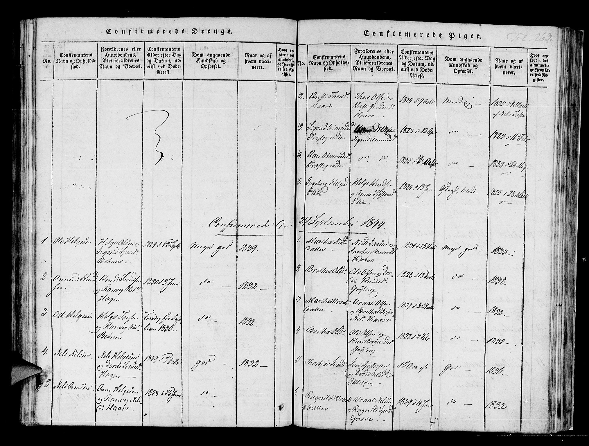 Røldal sokneprestembete, SAB/A-100247: Parish register (official) no. A 2, 1817-1856, p. 263