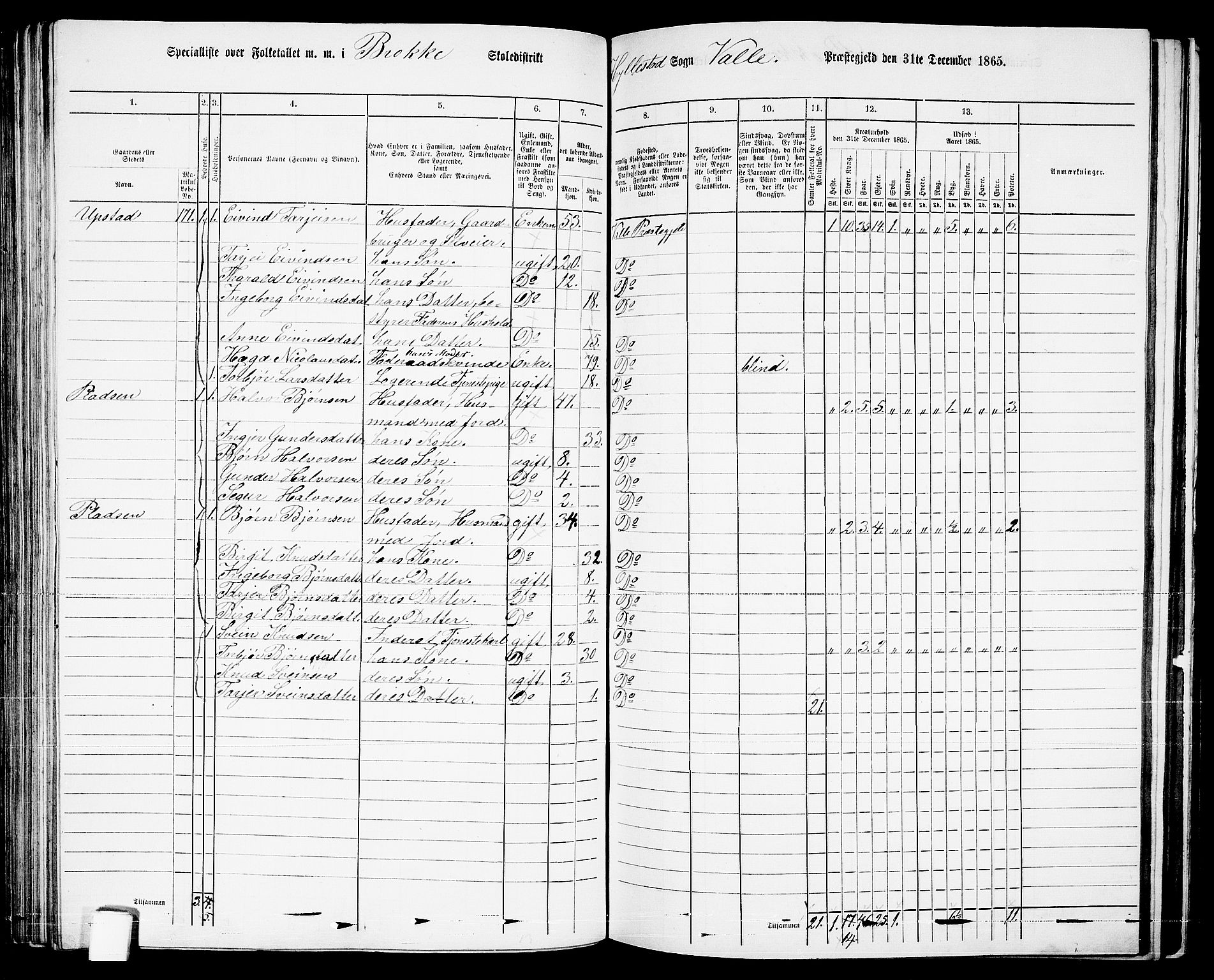 RA, 1865 census for Valle, 1865, p. 101