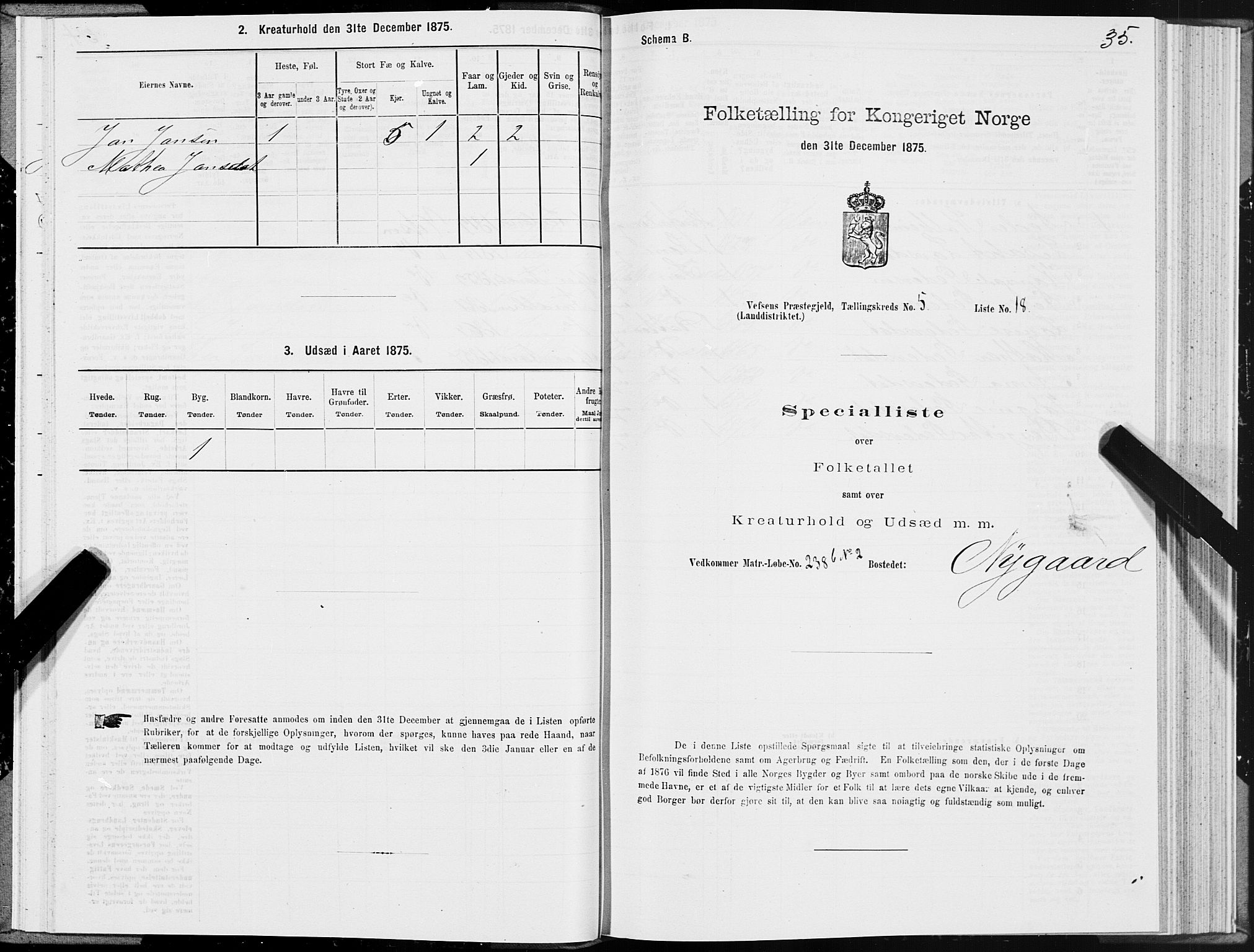 SAT, 1875 census for 1824L Vefsn/Vefsn, 1875, p. 2035