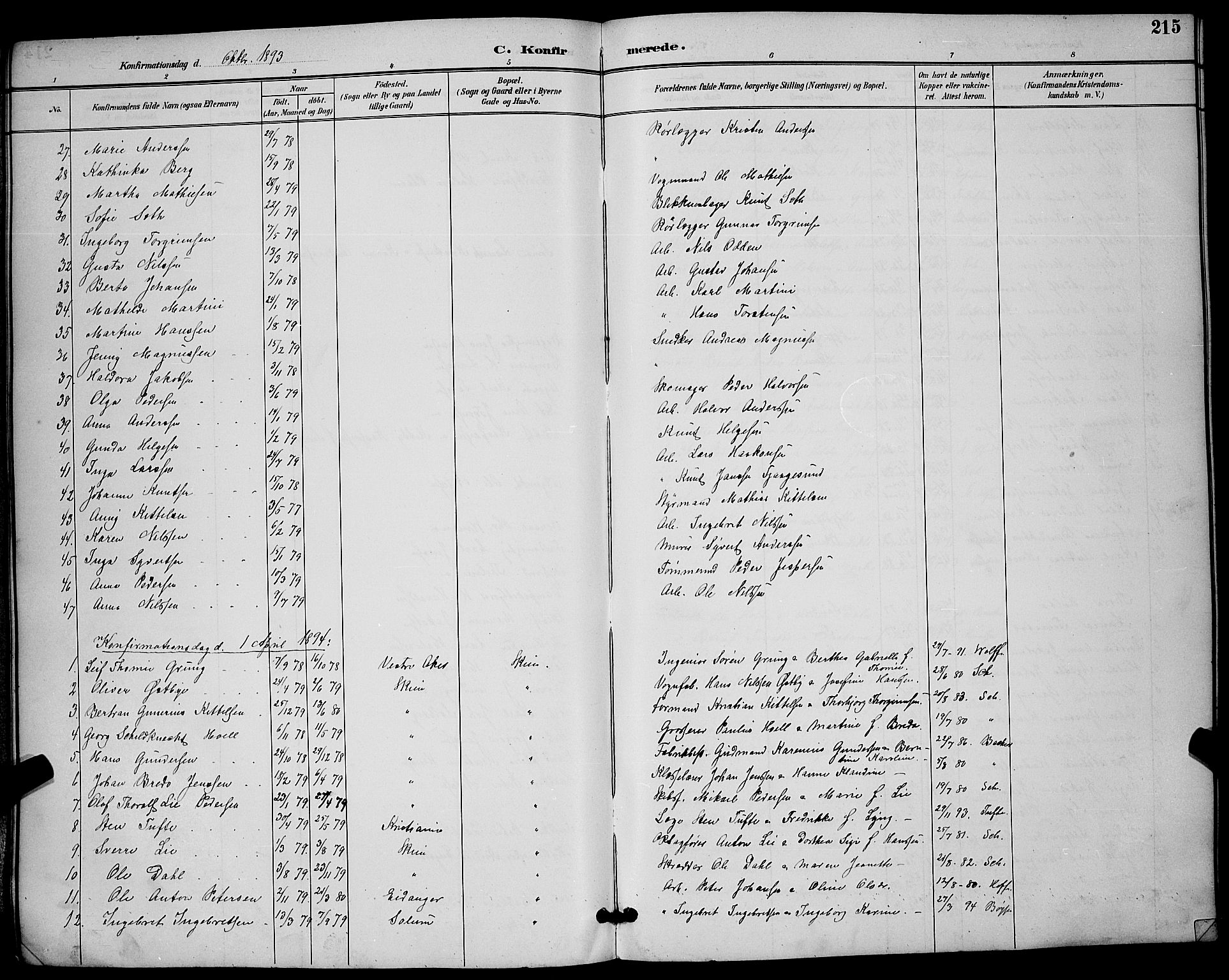 Skien kirkebøker, SAKO/A-302/G/Ga/L0007: Parish register (copy) no. 7, 1891-1900, p. 215