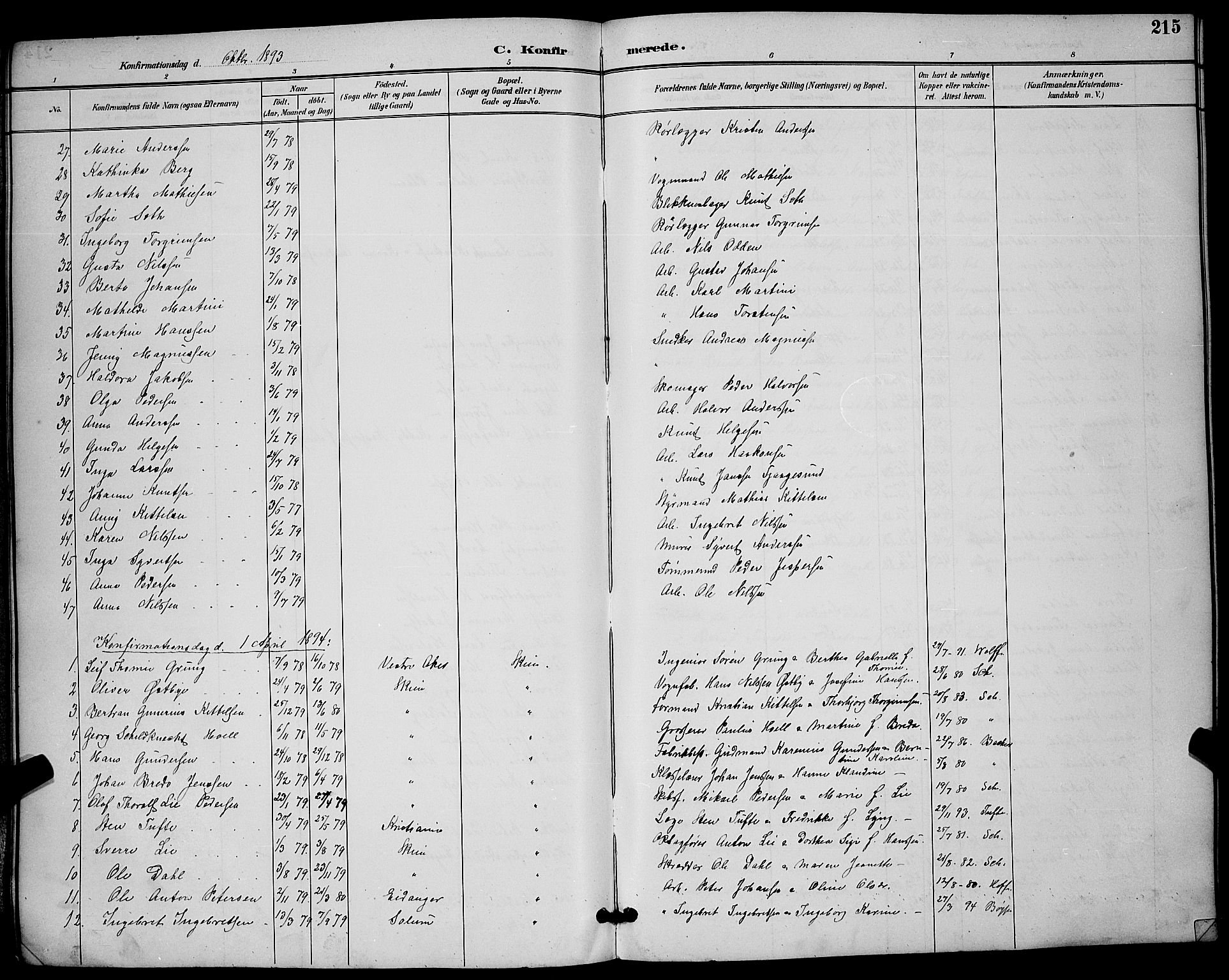 Skien kirkebøker, AV/SAKO-A-302/G/Ga/L0007: Parish register (copy) no. 7, 1891-1900, p. 215