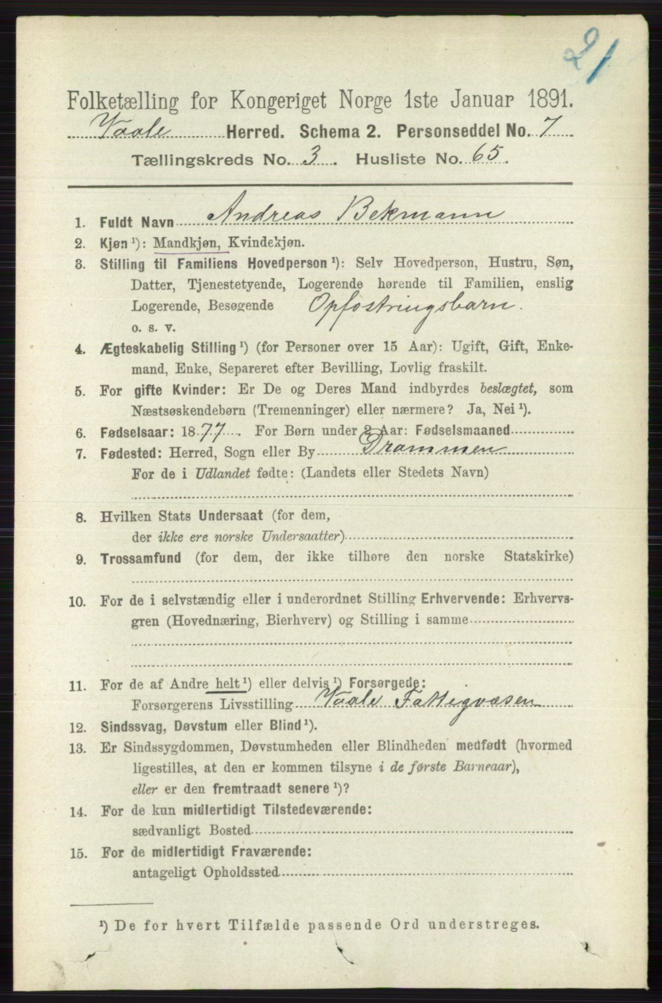 RA, 1891 census for 0716 Våle, 1891, p. 926