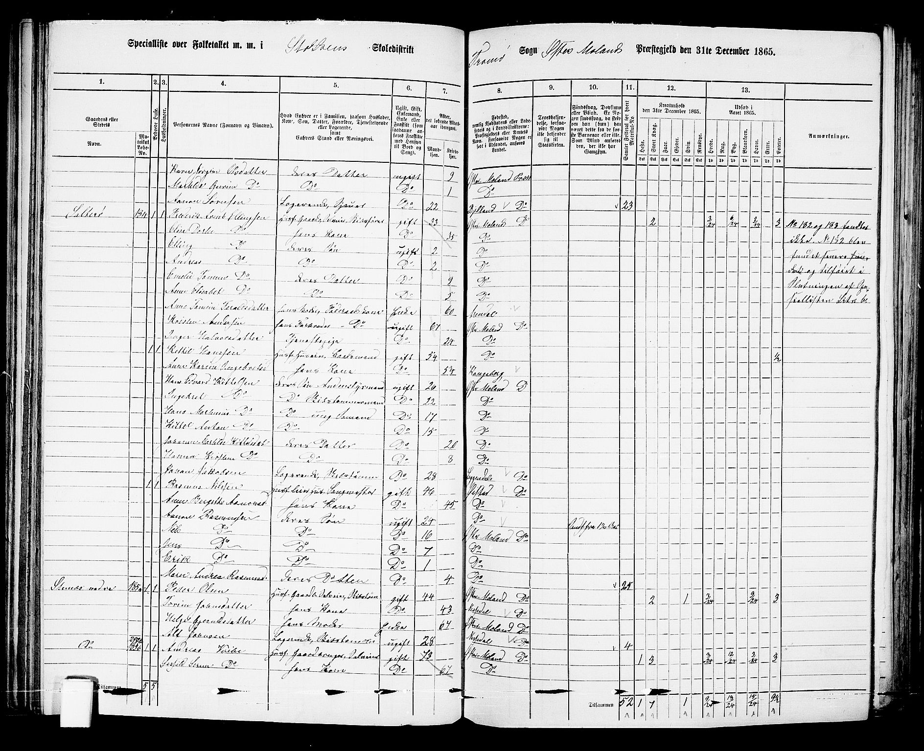 RA, 1865 census for Austre Moland, 1865, p. 121