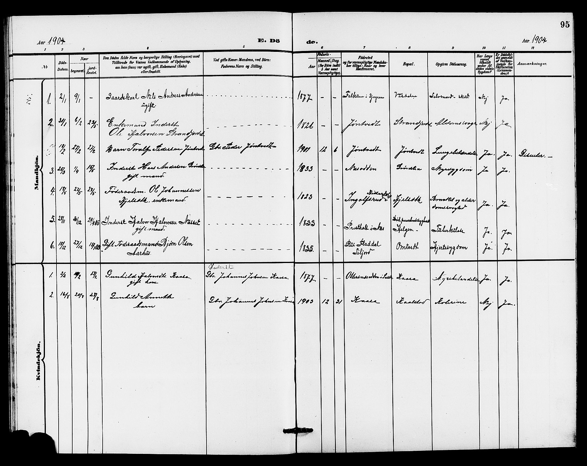 Holla kirkebøker, SAKO/A-272/G/Gb/L0002: Parish register (copy) no. II 2, 1897-1913, p. 95