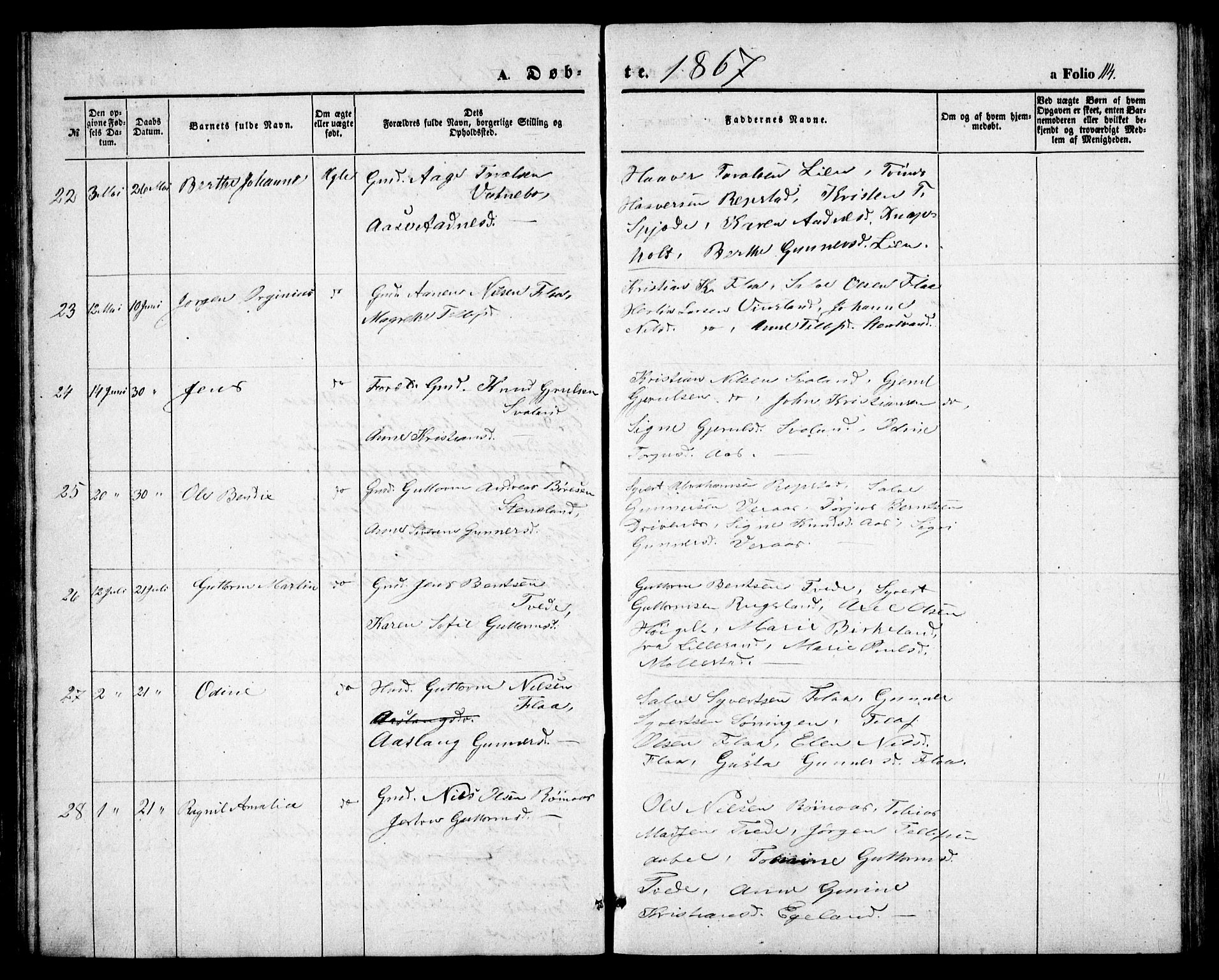 Birkenes sokneprestkontor, AV/SAK-1111-0004/F/Fb/L0002: Parish register (copy) no. B 2, 1849-1876, p. 114