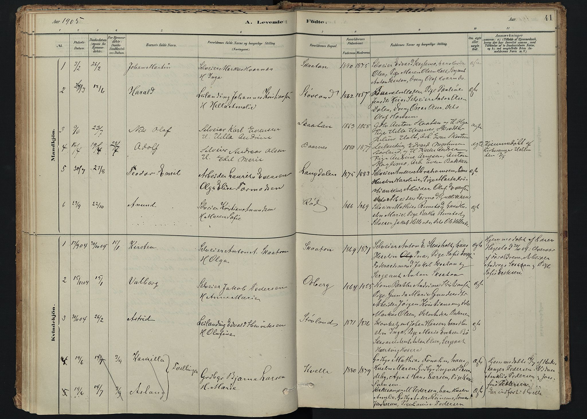 Hedrum kirkebøker, SAKO/A-344/F/Fc/L0001: Parish register (official) no. III 1, 1881-1906, p. 41