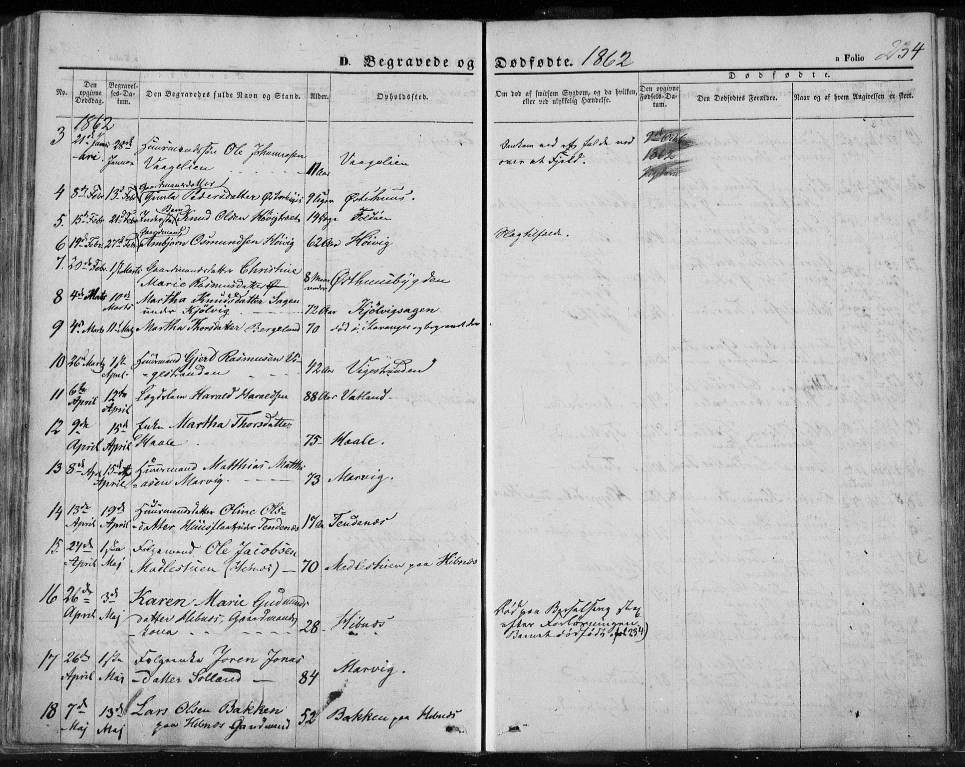 Jelsa sokneprestkontor, AV/SAST-A-101842/01/IV: Parish register (official) no. A 7, 1854-1866, p. 234