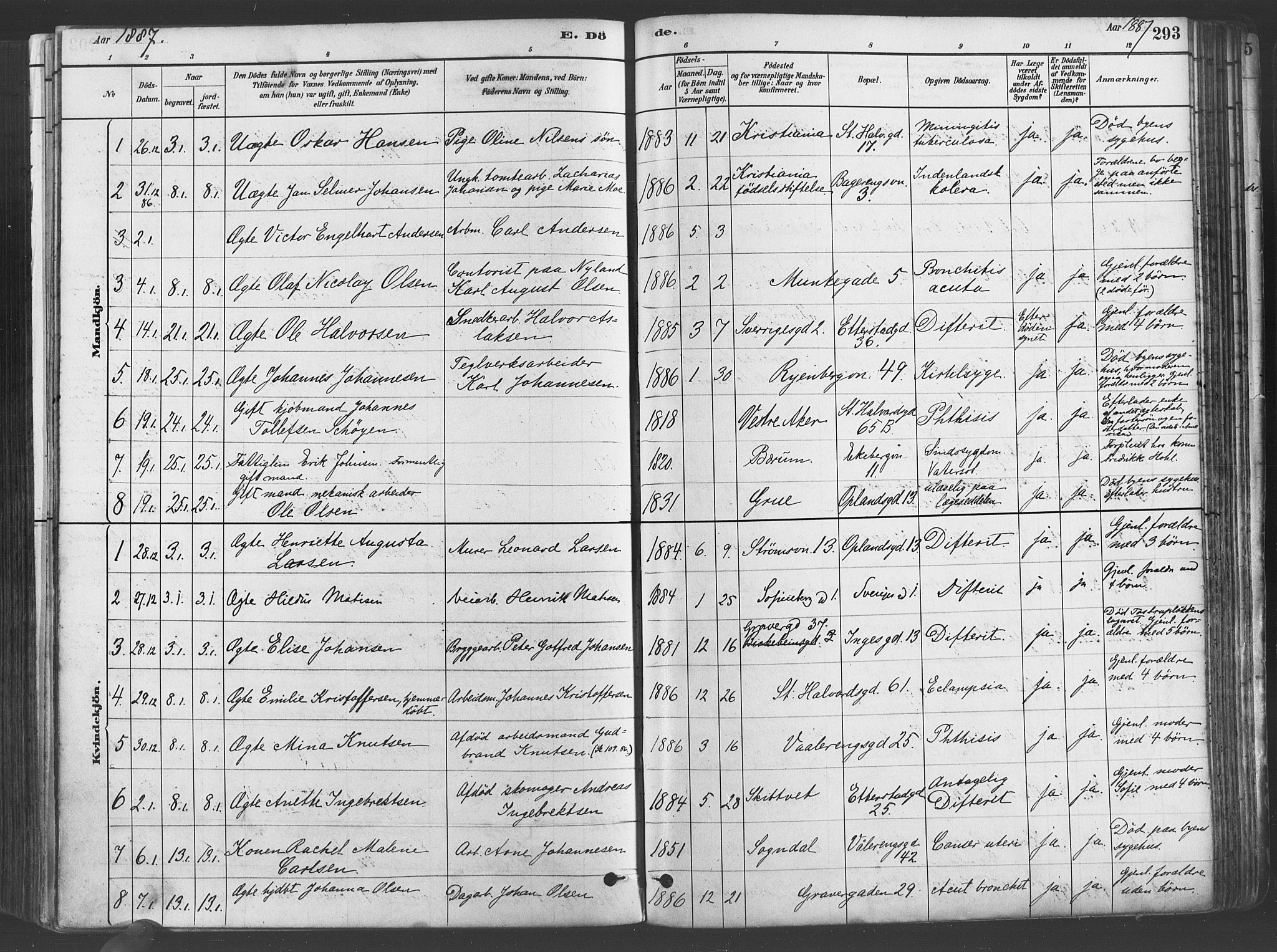 Gamlebyen prestekontor Kirkebøker, SAO/A-10884/F/Fa/L0006: Parish register (official) no. 6, 1881-1890, p. 293