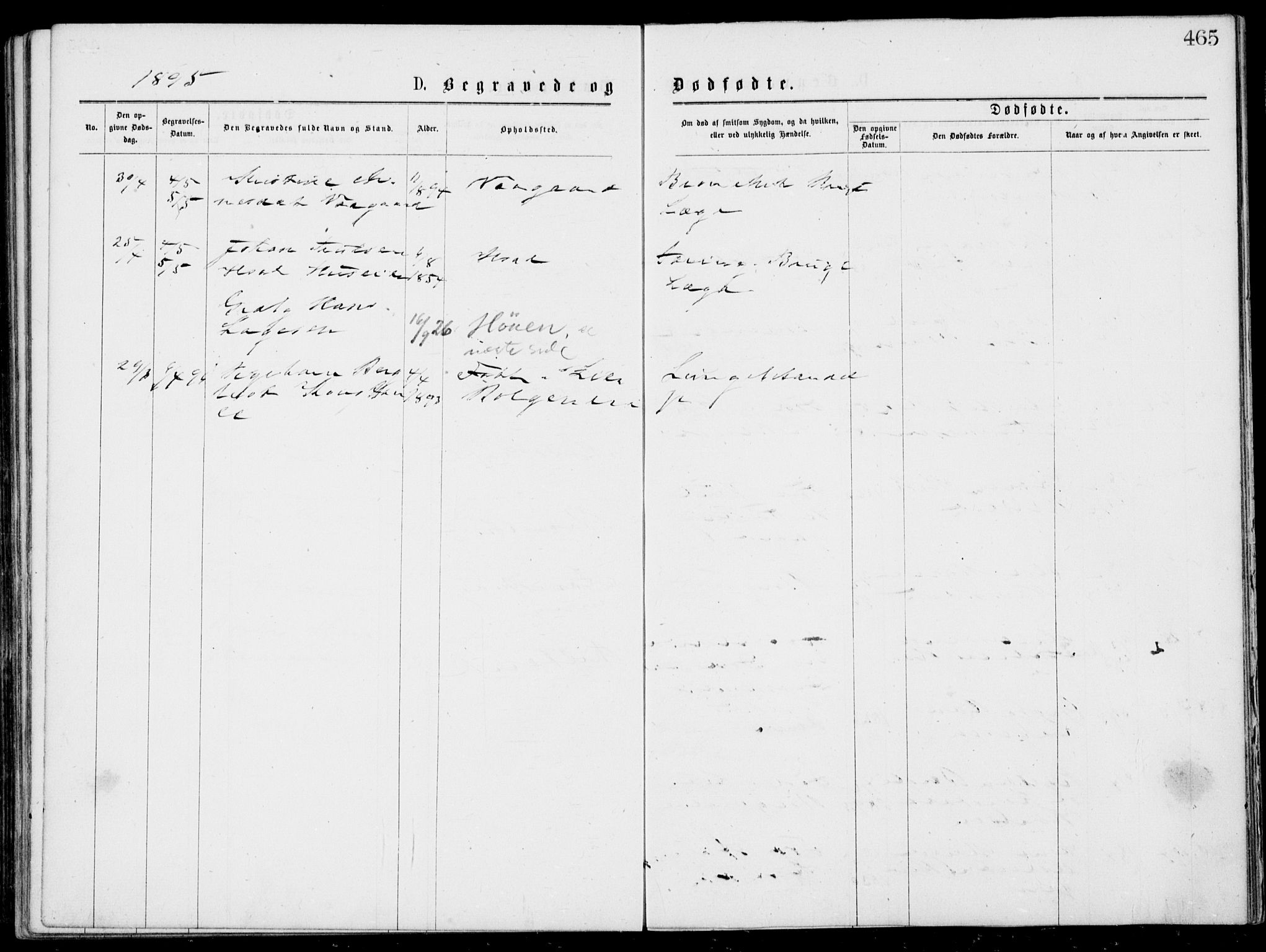 Norderhov kirkebøker, AV/SAKO-A-237/G/Gb/L0001: Parish register (copy) no. II 1, 1876-1899, p. 465