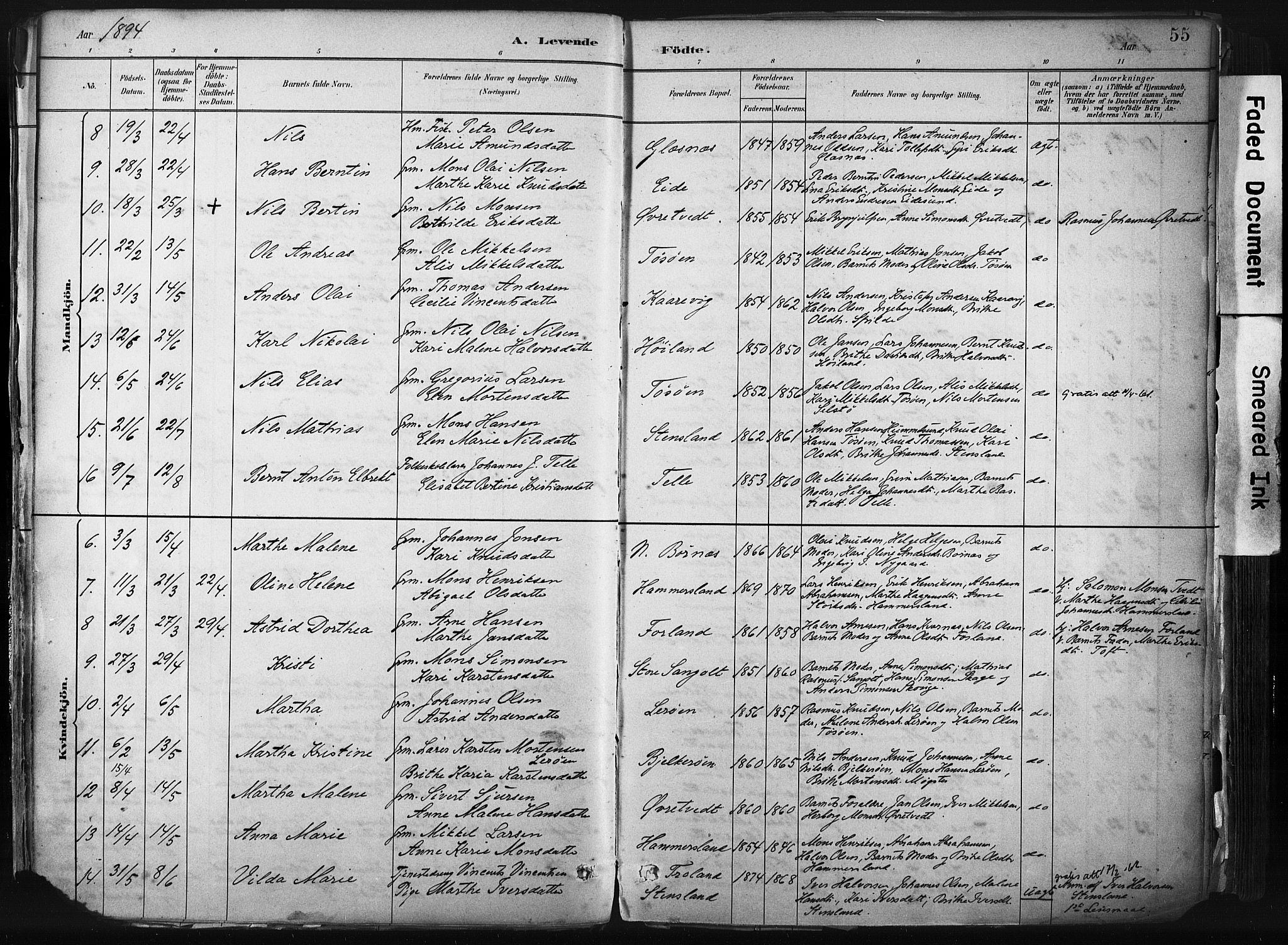 Sund sokneprestembete, AV/SAB-A-99930: Parish register (official) no. B 1, 1882-1907, p. 55