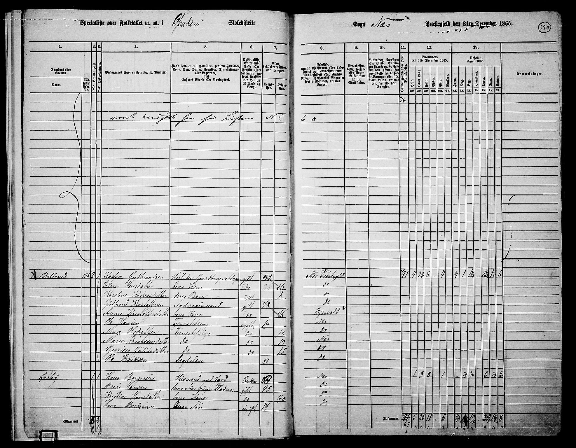 RA, 1865 census for Nes, 1865, p. 203