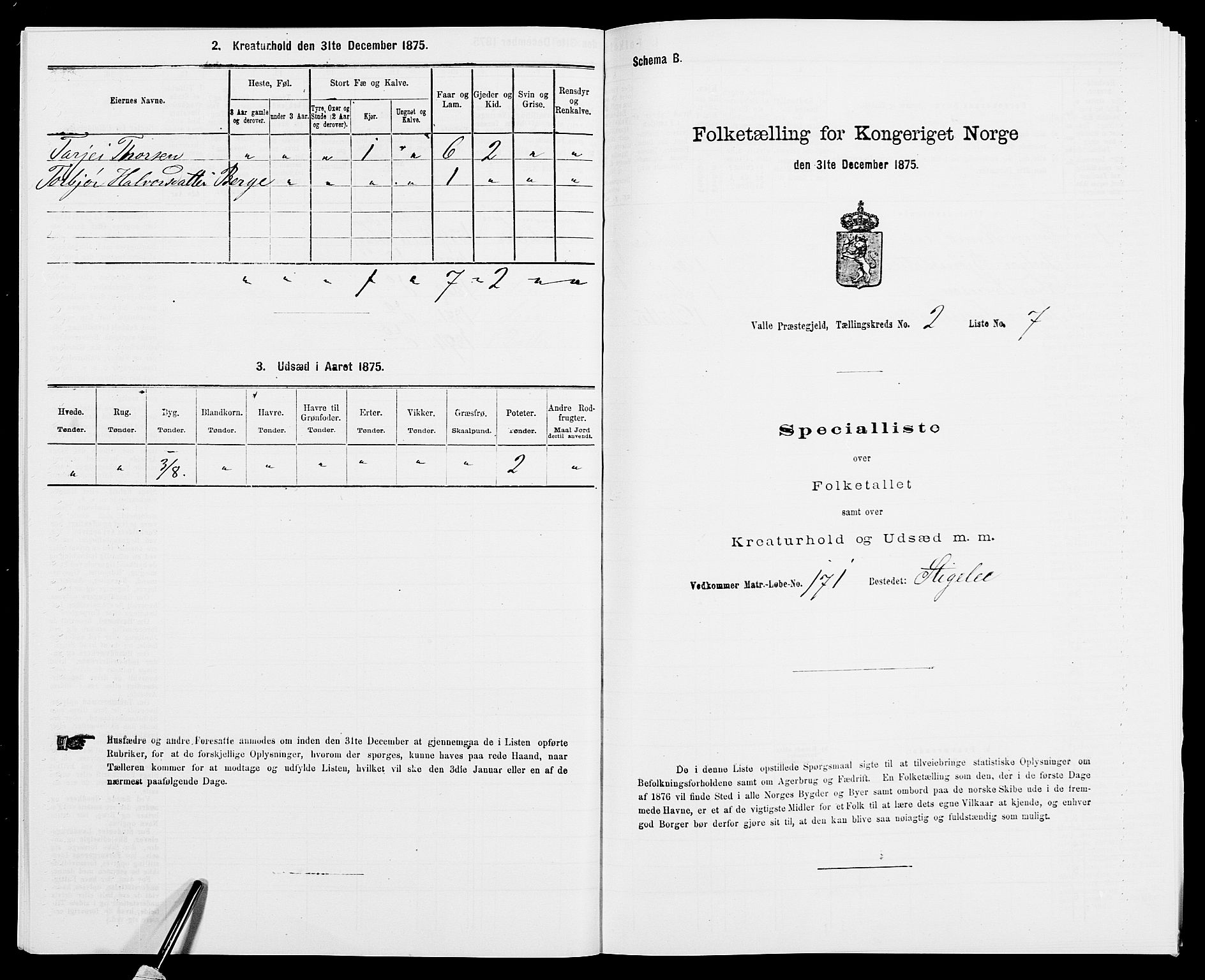 SAK, 1875 census for 0940P Valle, 1875, p. 163