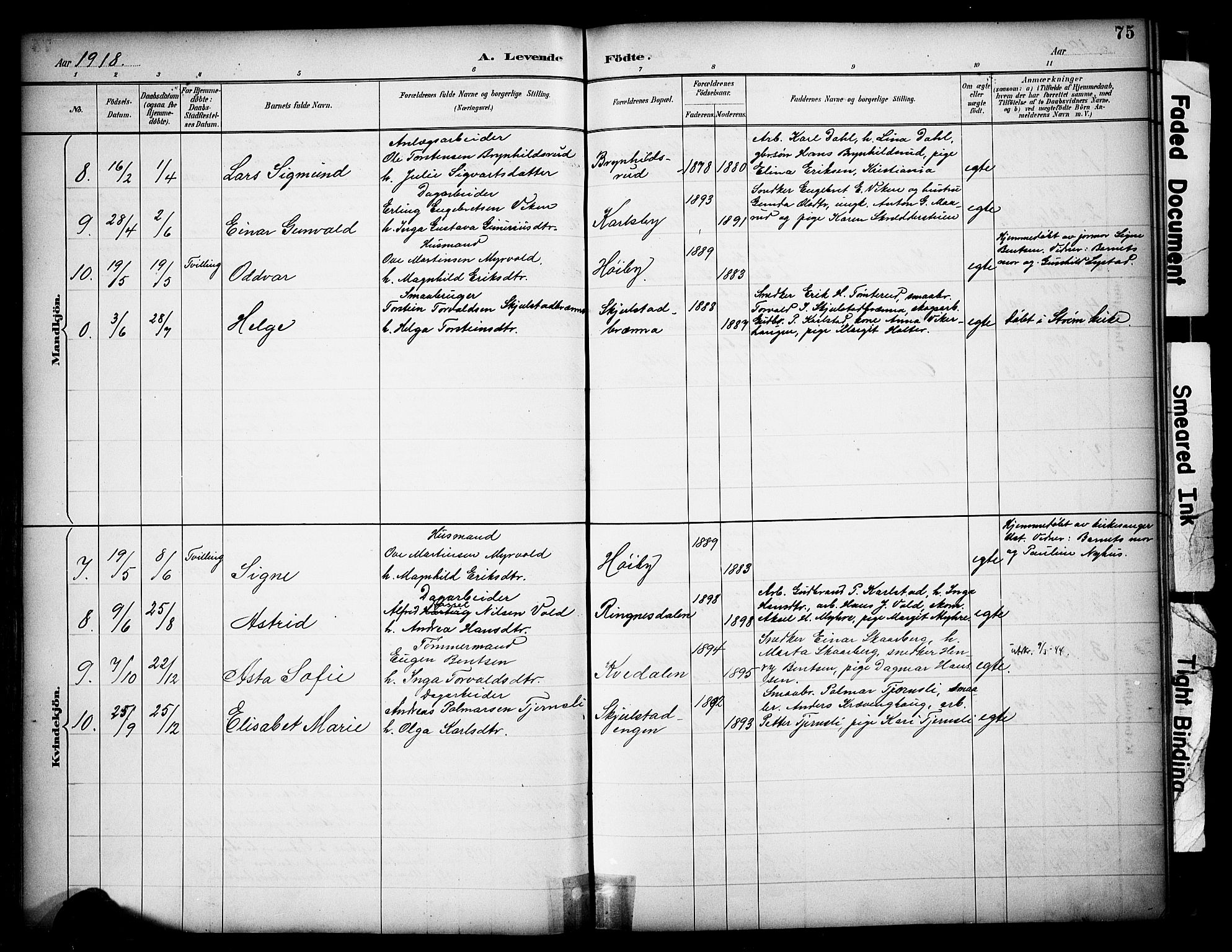 Sør-Odal prestekontor, AV/SAH-PREST-030/H/Ha/Haa/L0009: Parish register (official) no. 9, 1886-1926, p. 75