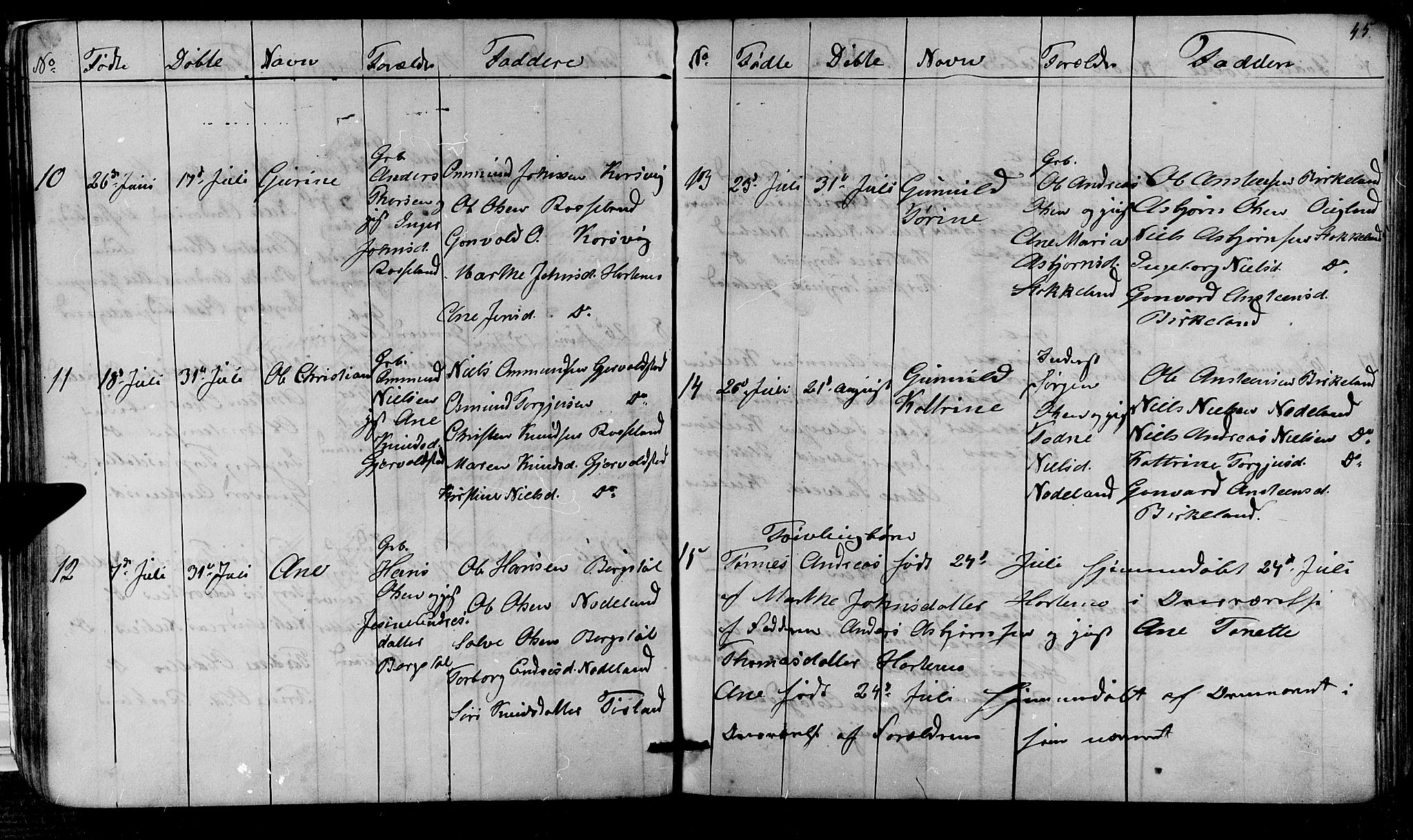 Søgne sokneprestkontor, SAK/1111-0037/F/Fb/Fba/L0002: Parish register (copy) no. B 2, 1848-1873, p. 45