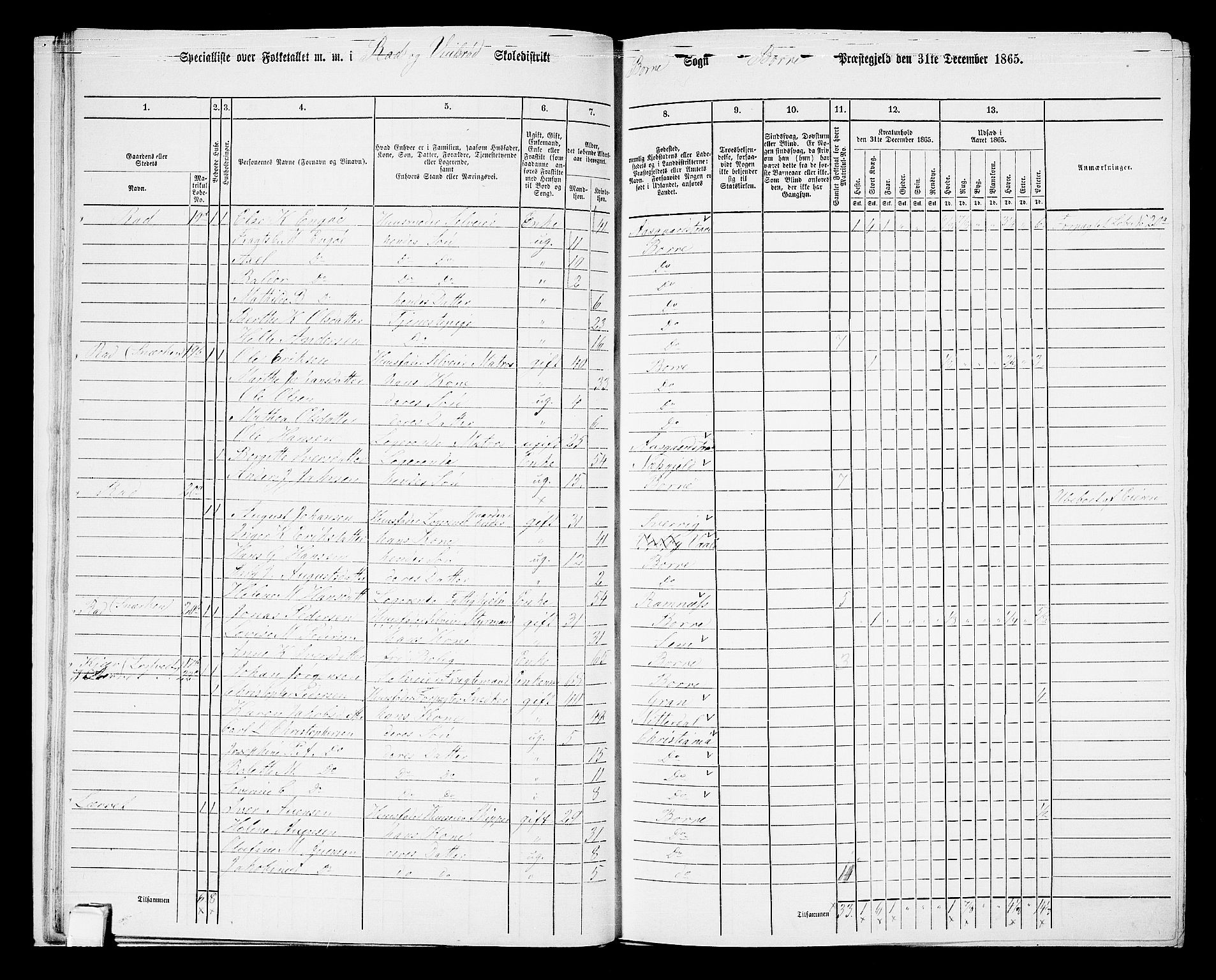 RA, 1865 census for Borre, 1865, p. 44