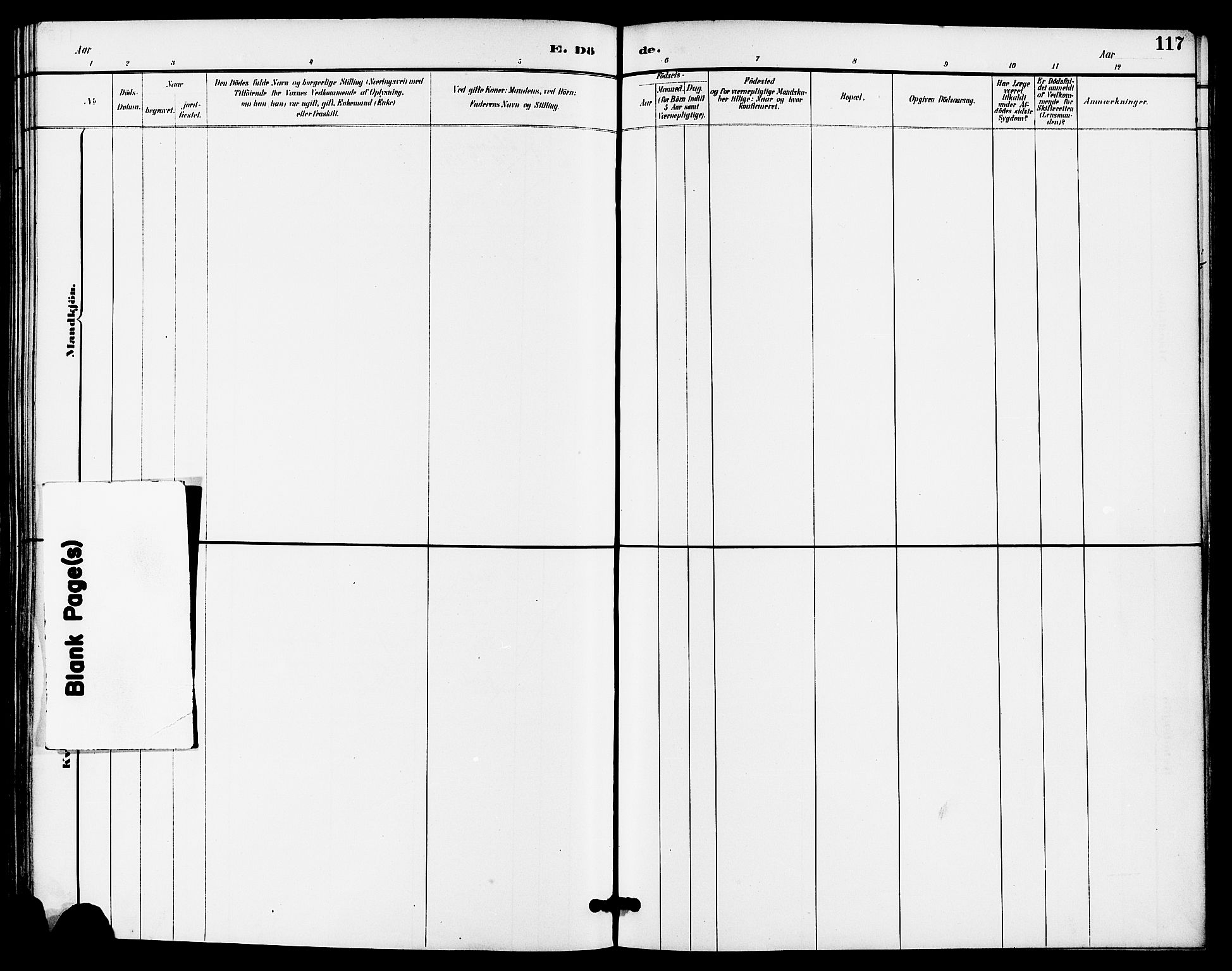 Høgsfjord sokneprestkontor, AV/SAST-A-101624/H/Ha/Haa/L0005: Parish register (official) no. A 5, 1885-1897, p. 117