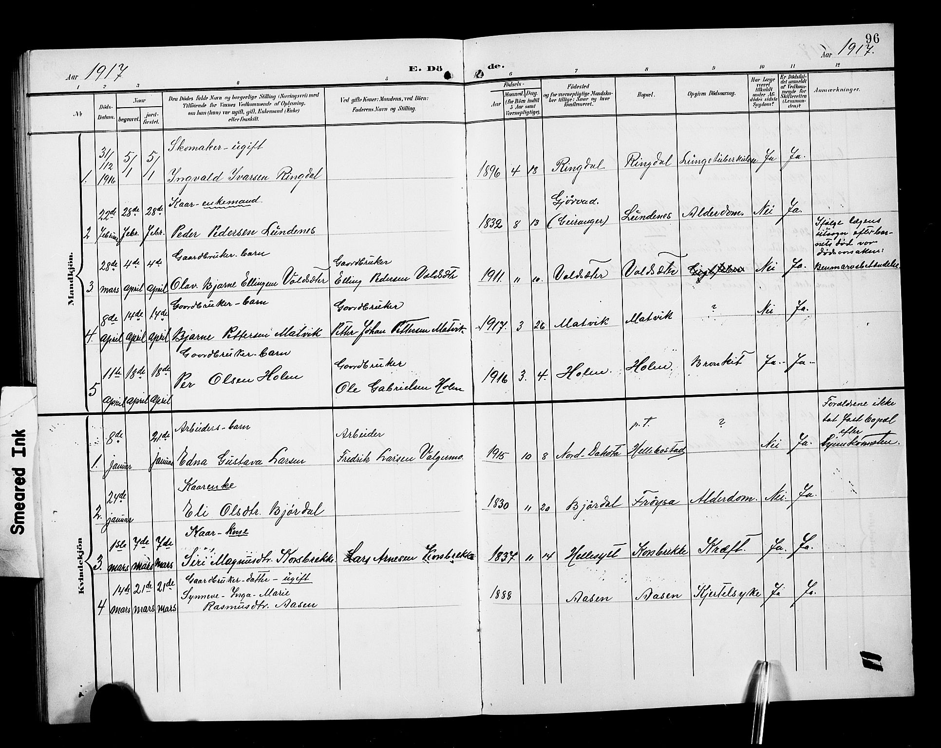 Ministerialprotokoller, klokkerbøker og fødselsregistre - Møre og Romsdal, SAT/A-1454/517/L0231: Parish register (copy) no. 517C04, 1904-1918, p. 96