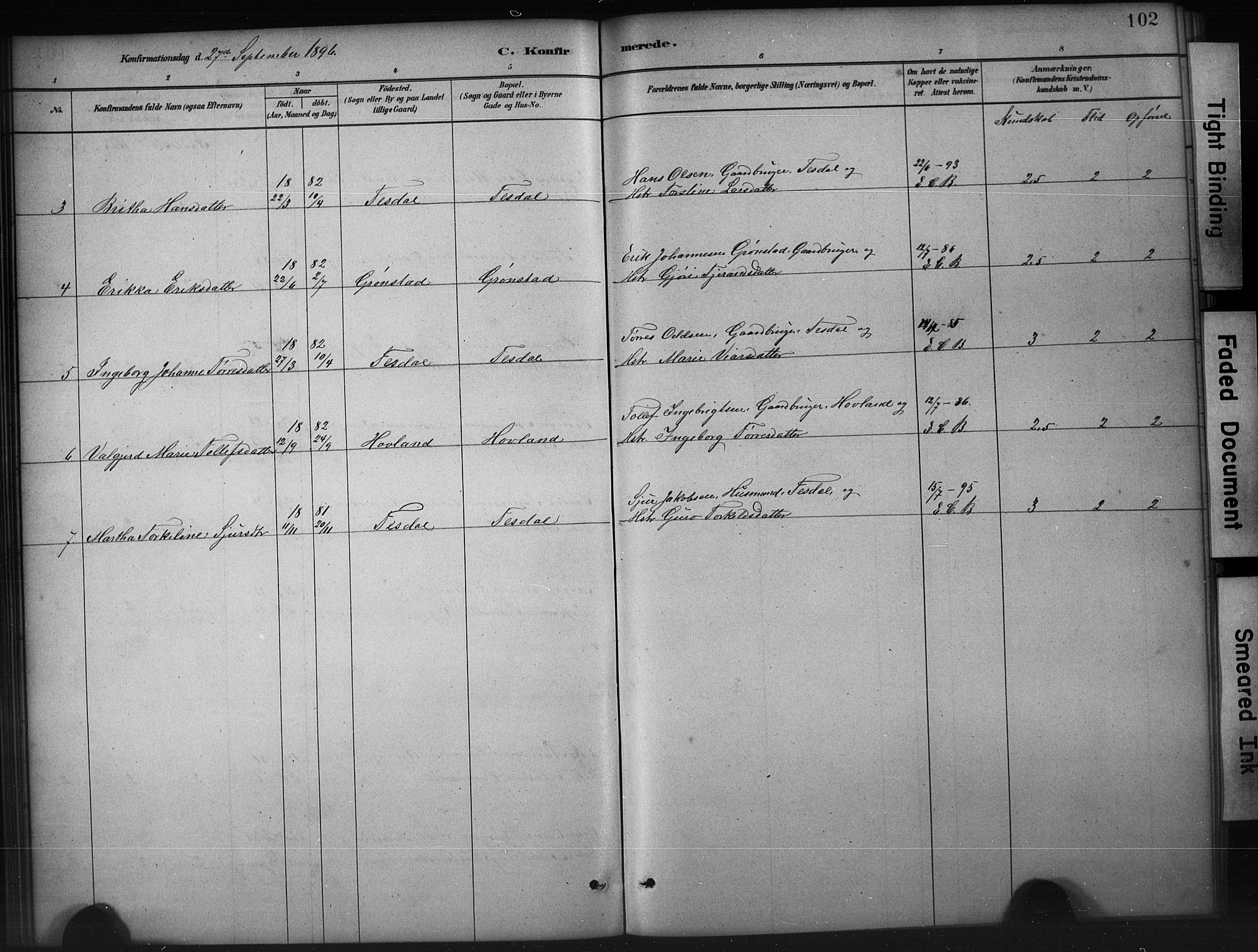 Etne sokneprestembete, SAB/A-75001/H/Hab: Parish register (copy) no. A 5, 1879-1896, p. 102