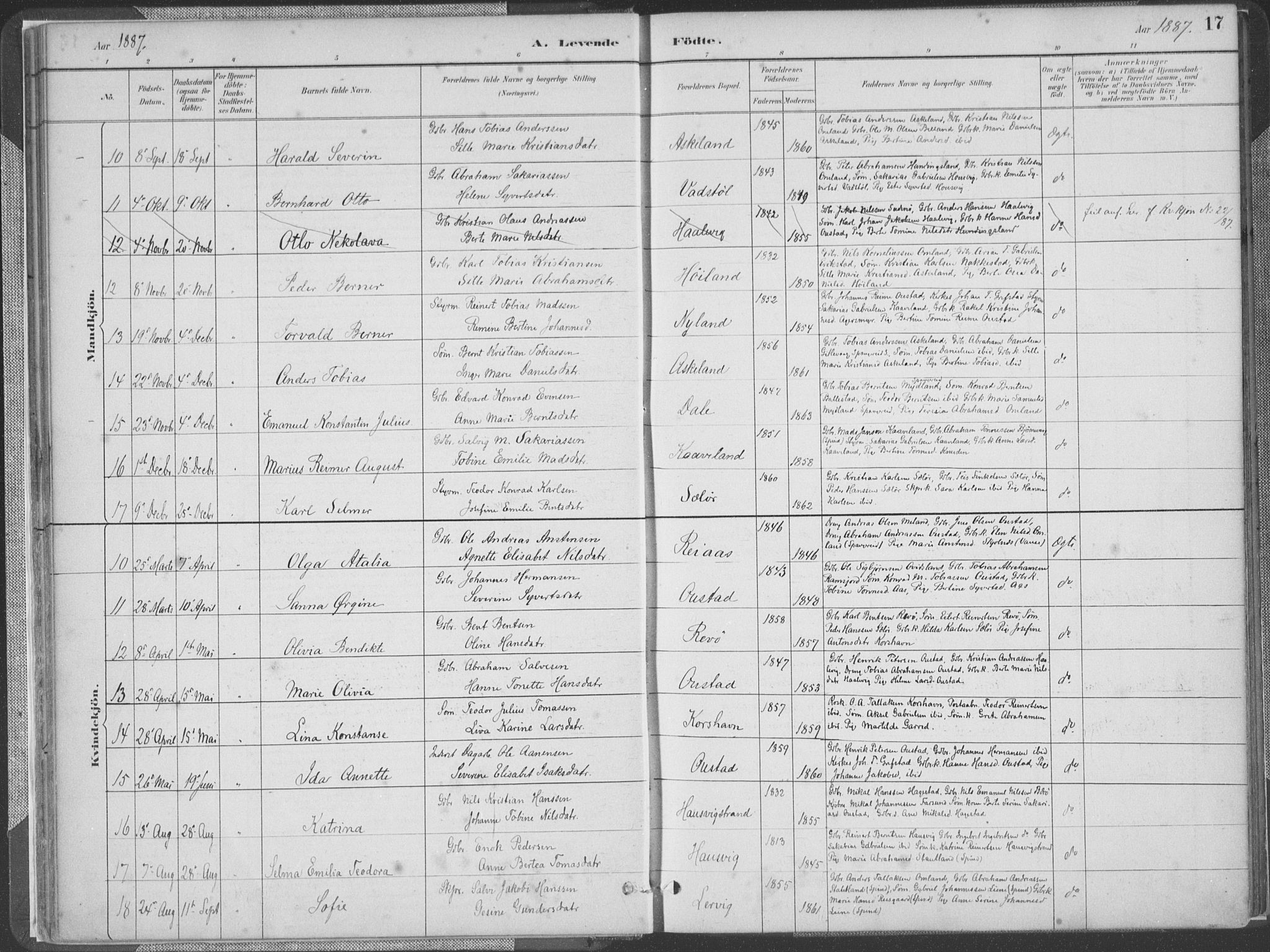 Lyngdal sokneprestkontor, AV/SAK-1111-0029/F/Fa/Faa/L0004: Parish register (official) no. A 4, 1883-1904, p. 17