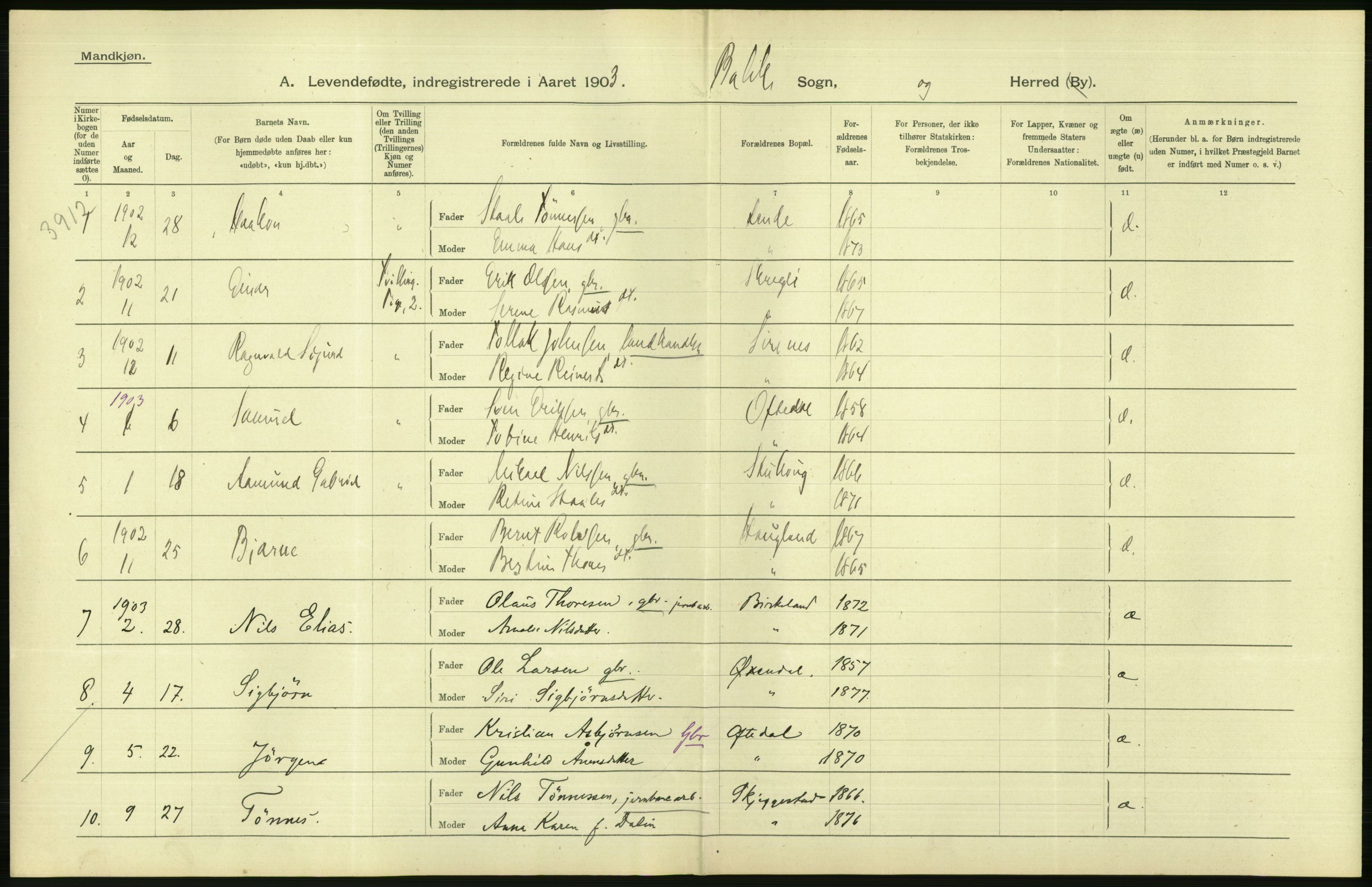 Statistisk sentralbyrå, Sosiodemografiske emner, Befolkning, AV/RA-S-2228/D/Df/Dfa/Dfaa/L0011: Lister og Mandal amt: Fødte, gifte, døde, 1903, p. 20