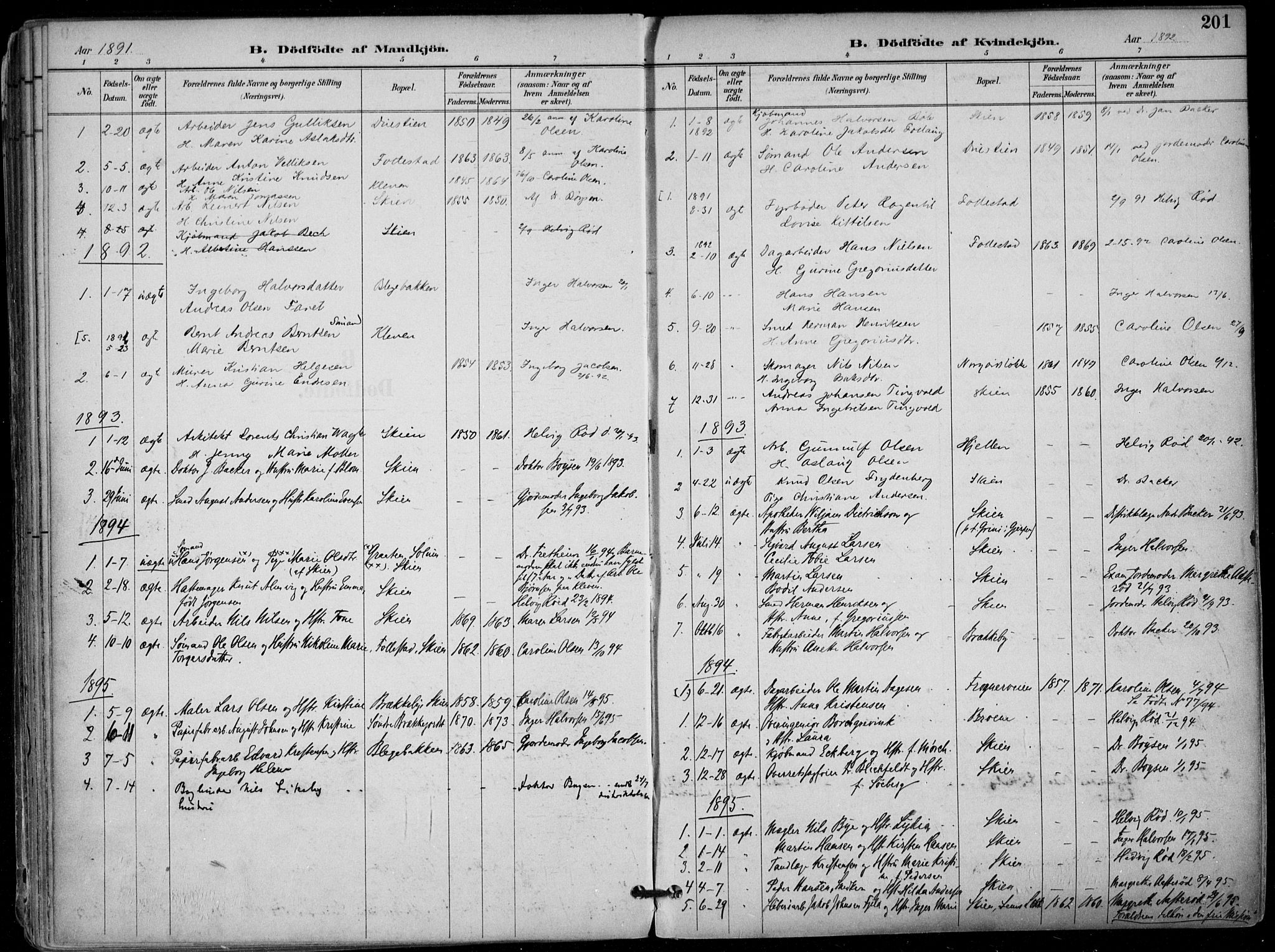 Skien kirkebøker, SAKO/A-302/F/Fa/L0010: Parish register (official) no. 10, 1891-1899, p. 201