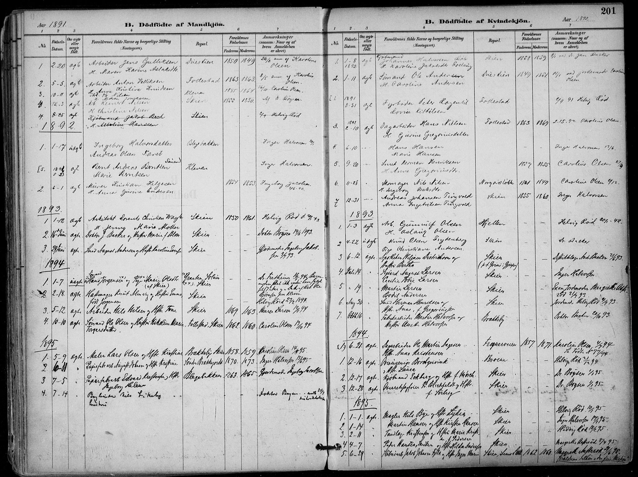 Skien kirkebøker, AV/SAKO-A-302/F/Fa/L0010: Parish register (official) no. 10, 1891-1899, p. 201