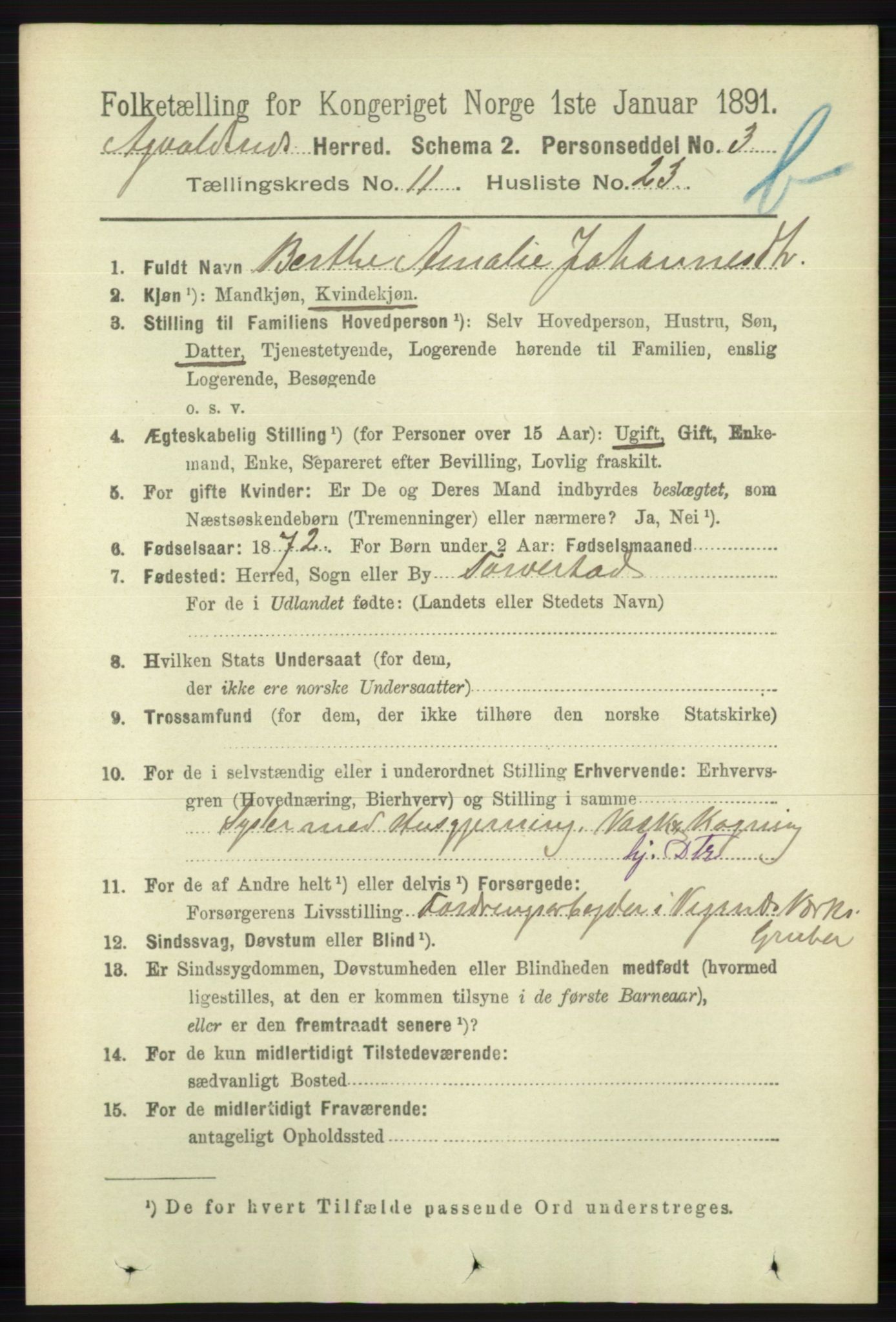 RA, 1891 census for 1147 Avaldsnes, 1891, p. 6547