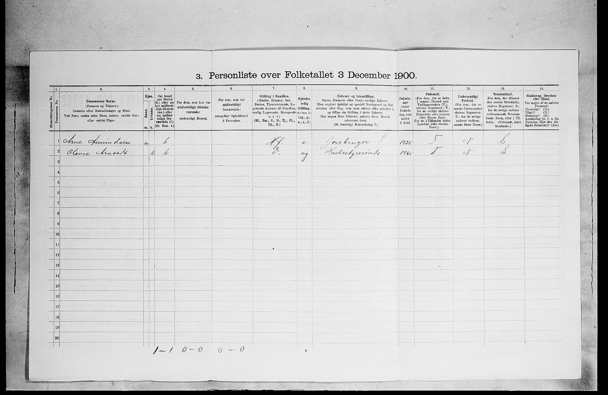 SAH, 1900 census for Grue, 1900, p. 1494